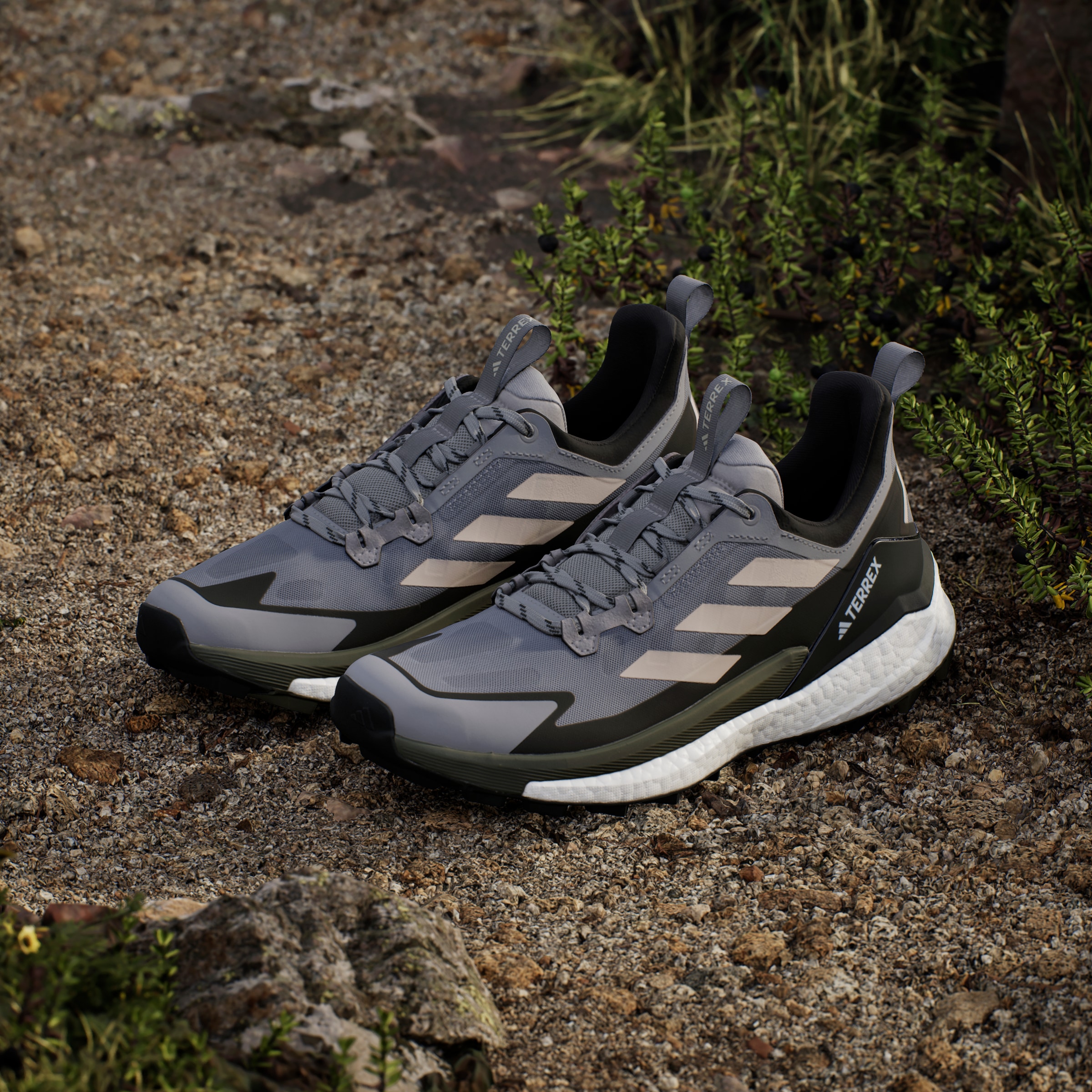 adidas TERREX Wanderschuh »TERREX FREE HIKER 2.0 LOW«