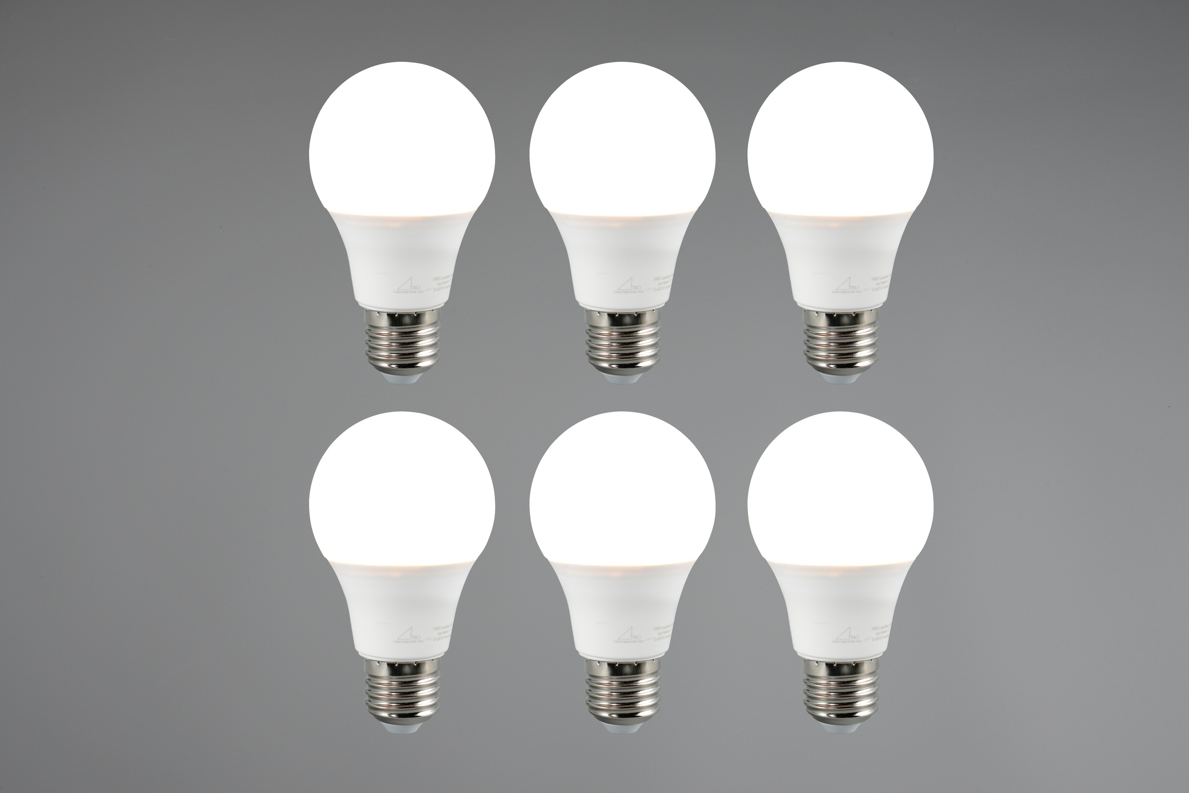 TRIO Leuchten LED-Leuchtmittel »Leuchtmittel Set E27«, E27, 6 St., Warmweiß, 6er Set Leuchtmittel E27 Fassung, Glühbirne E27 LED warmweiß