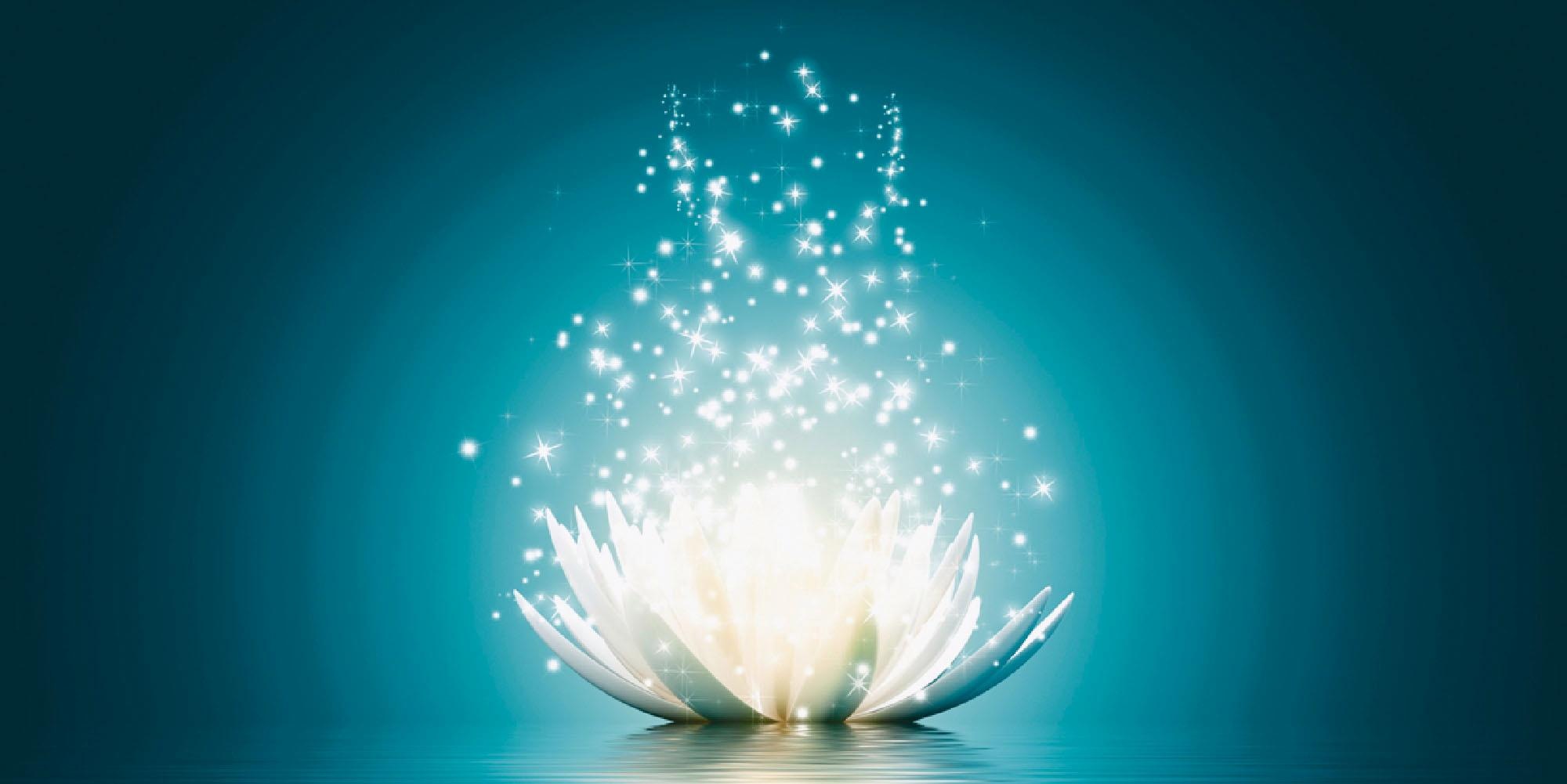 Bild V. Georgiev: Magie der Lotus-Blume