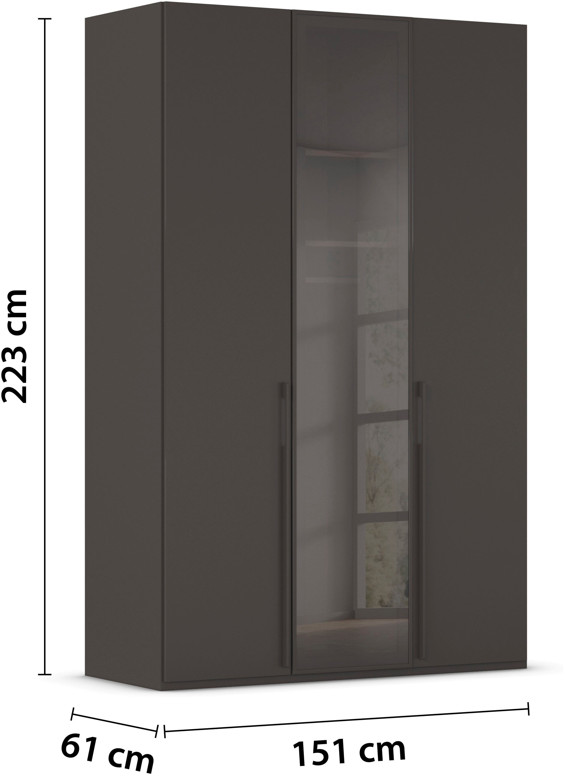 rauch Drehtürenschrank »Kleiderschrank Schrank Garderobe Wäscheschrank SKAT SHINE« Breiten 151/201/251/301, Höhen 223/235 cm, inkl. SOFT-CLOSE-FUNKTION,  hochwertiges Grauglas inkl. umfangreichem Zubehör MADE IN GERMANY