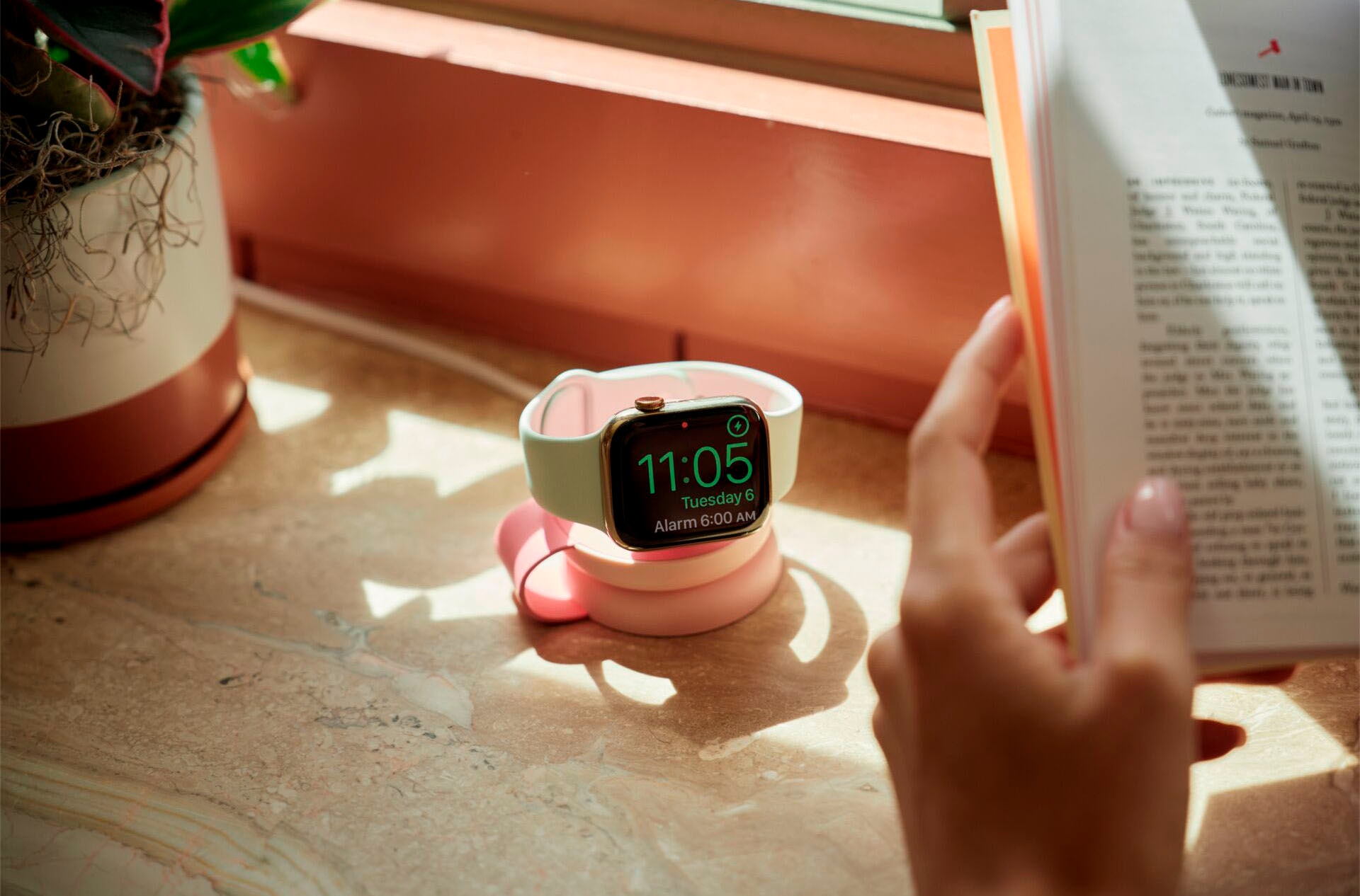 Twelve South Ladestation »ButterFly SE 2-in-1 Qi2«