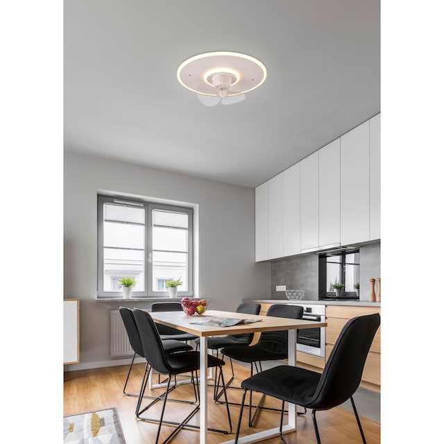 TRIO Leuchten LED Deckenleuchte »Nybro«, 1 flammig-flammig,  Deckenventilator mit 3 Stufen, Fernbedienung, Lichtfarbe einstellbar  bestellen | BAUR