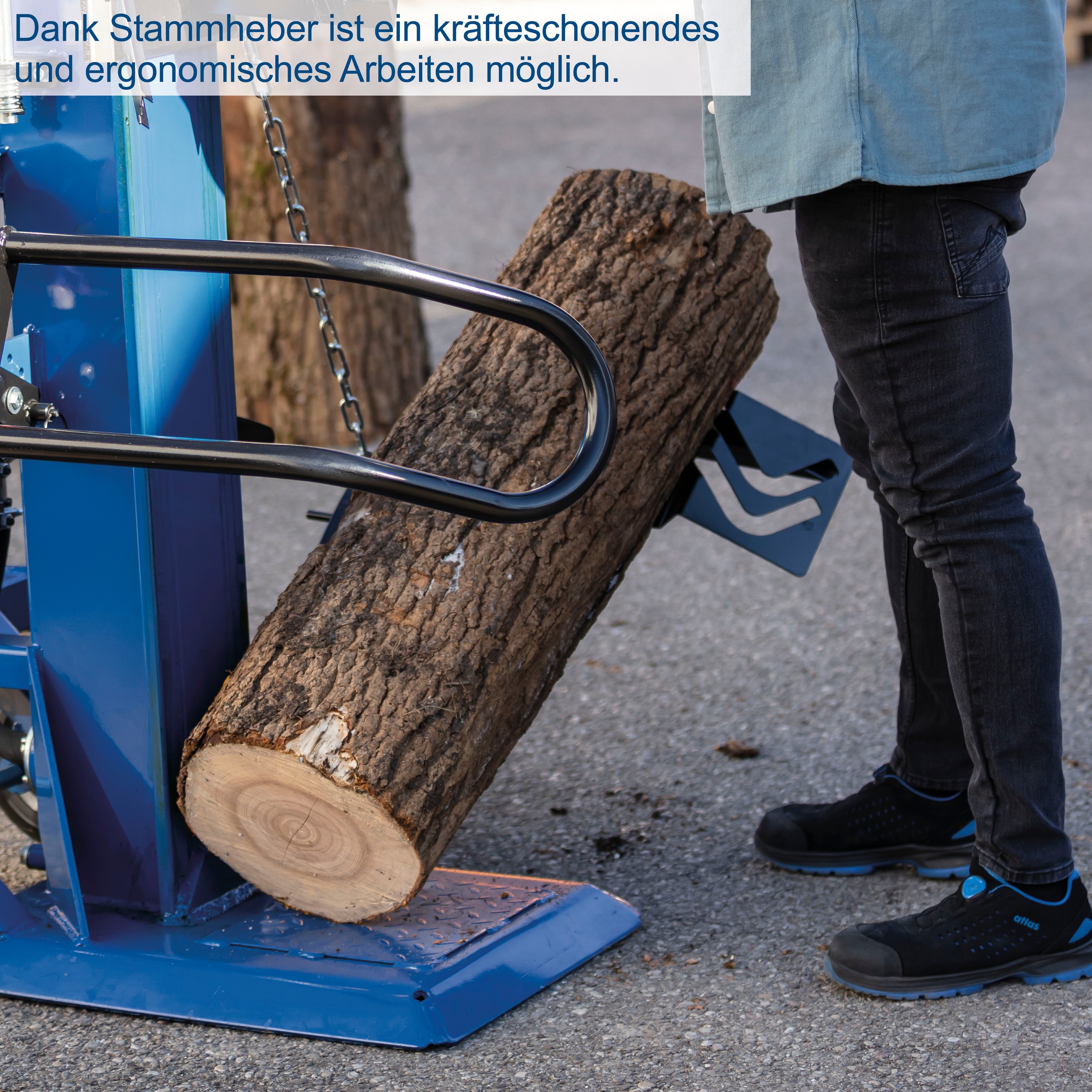 Holzspalter SCHEPPACH "»HL3000«, 550 W", blau, B:68cm H:195cm T:98cm, Holzspaltmaschinen, Spaltkraft 30 Tonnen 3