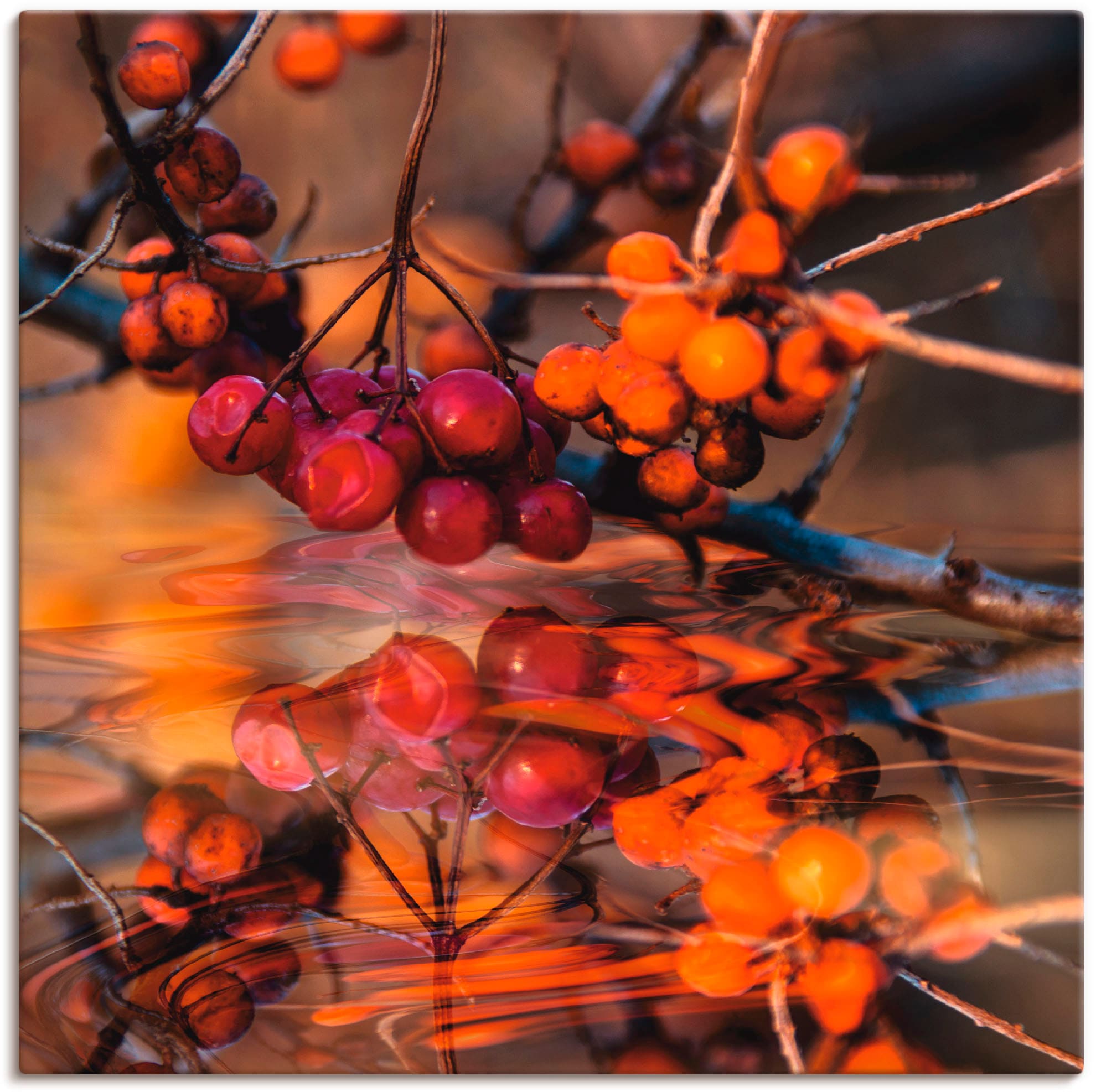 Artland Leinwandbild "Rote Beeren - Wildbeeren", Pflanzen, (1 St.), auf Keilrahmen gespannt