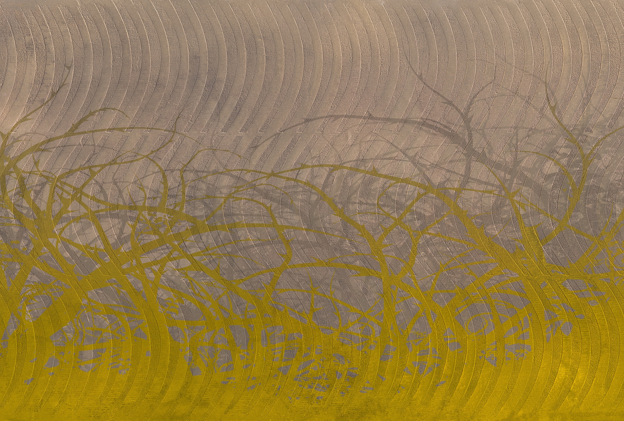 Architects Paper Fototapete "Atelier 47 Thorn hedge 3" Farbverlauf glatt Vlies, Wand, Schräge, Decke