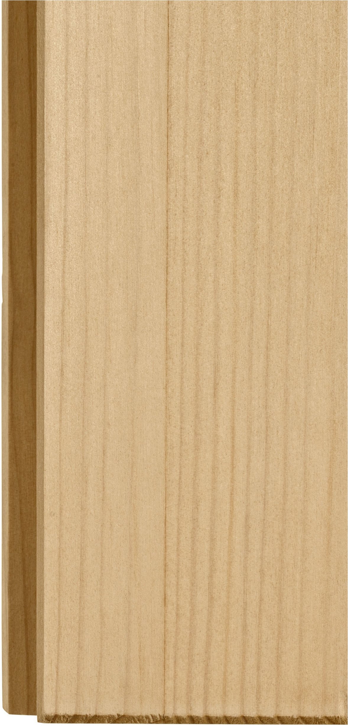 Home affaire Hängeschrank »Alby« Breite 50 cm, 1 Tür