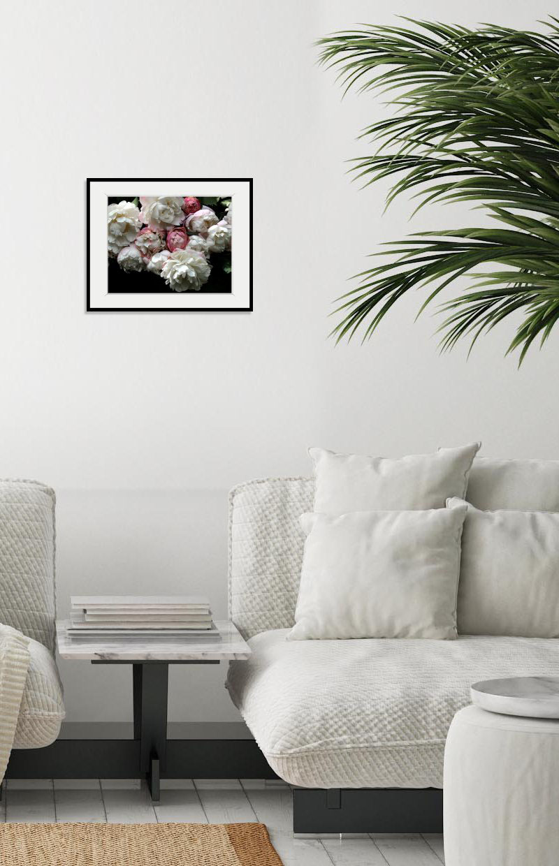 queence Bild "Alexa" Blumen Foto Pflanzen Pflanzenbilder 1 Stk. tlg. HD Premium Poster-Druck inkl. Holzrahmen