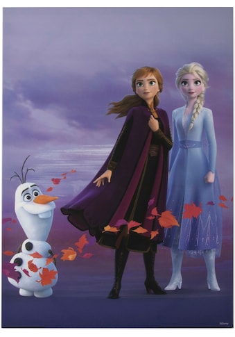 Disney Die Eiskönigin / Frozen » Fanartikel von Anna & Elsa | BAUR