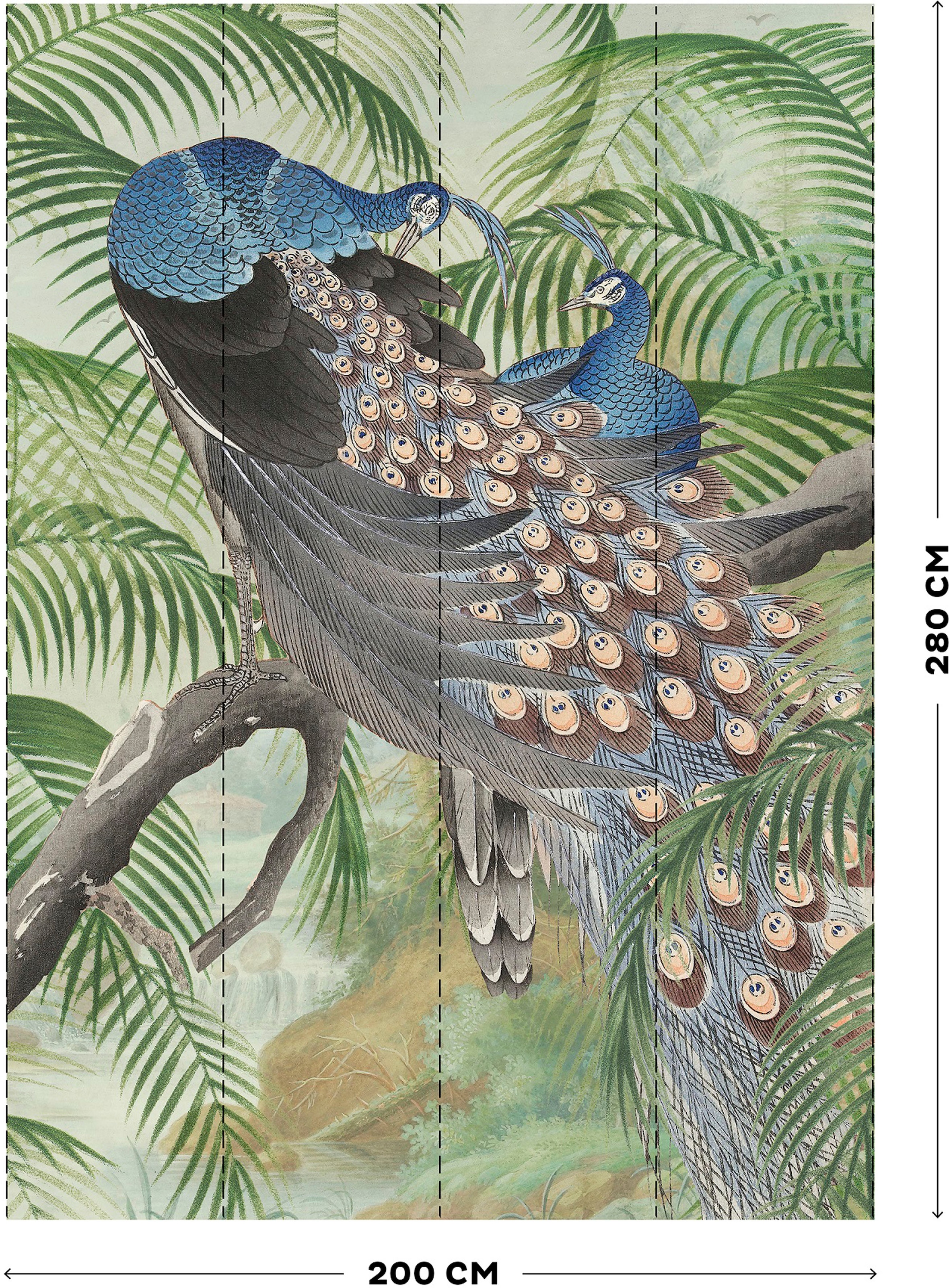 Art for the home Fototapete »Peacock«, animal print, 280x200cm