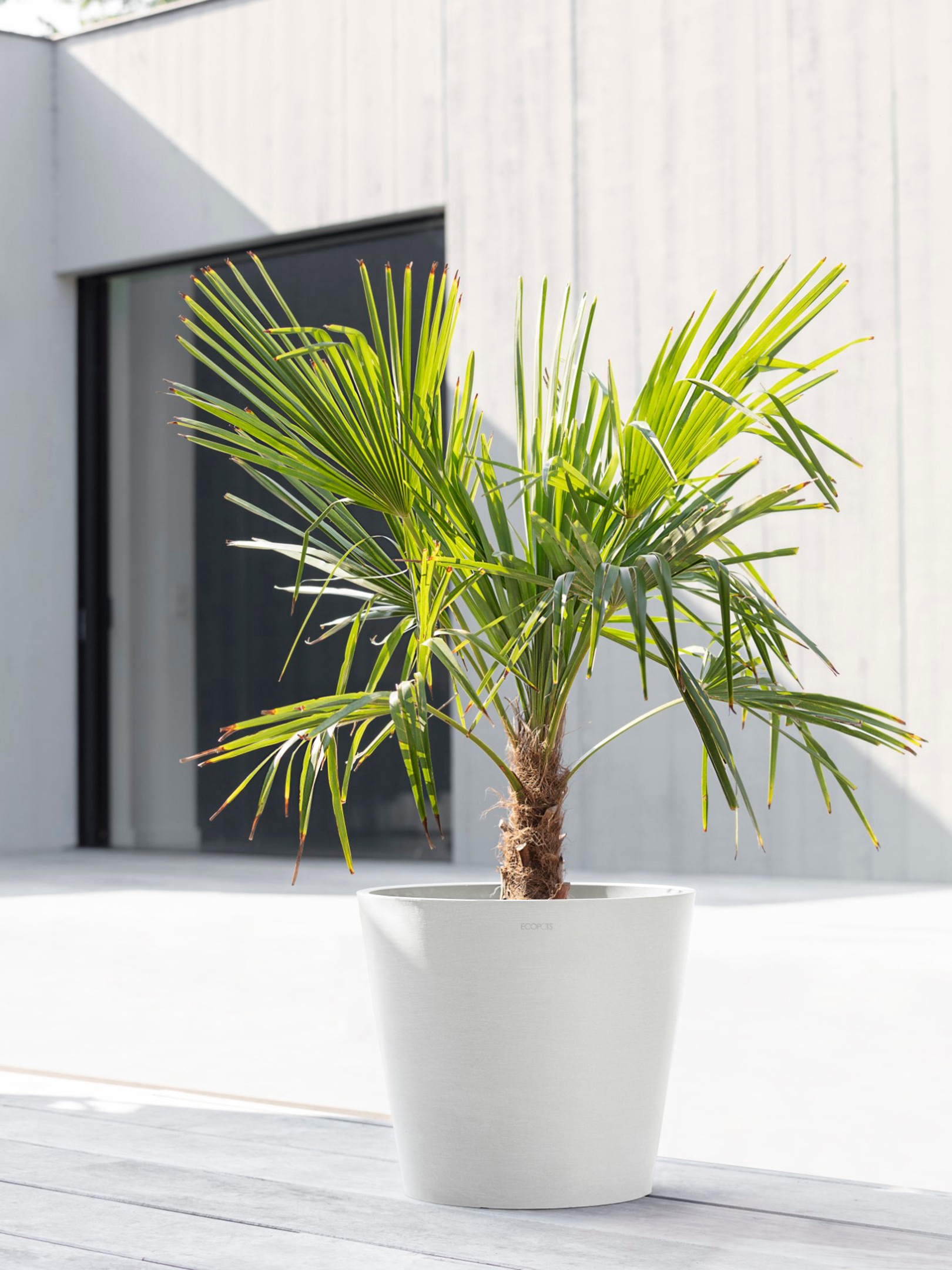 ECOPOTS Blumentopf »Amsterdam 40 Weiß«, für innen und außen: frostsicher, bruchsicher und lichtbeständig