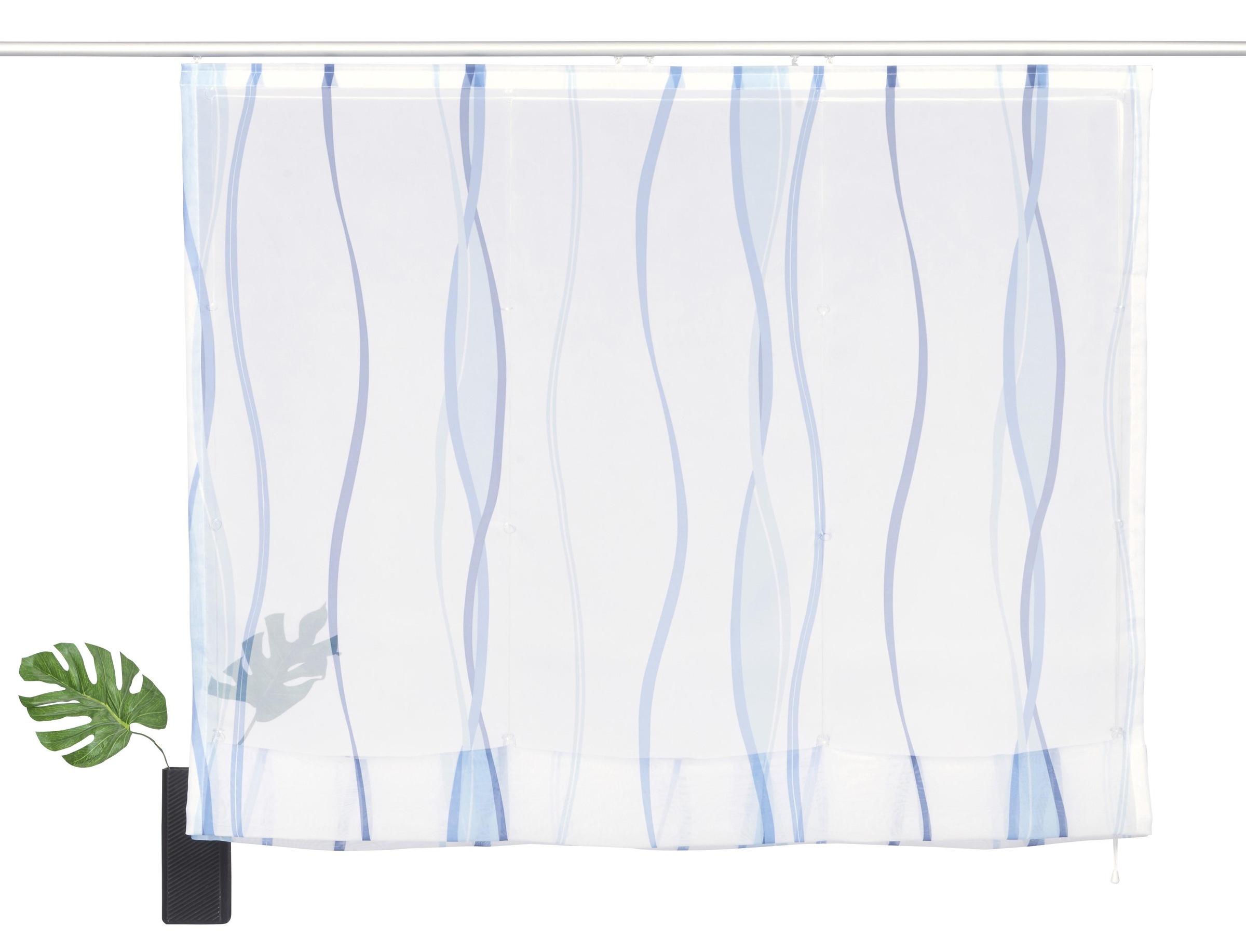 my home Raffrollo "Dimona" mit Klettschiene Transparent, Voile, Polyester, günstig online kaufen