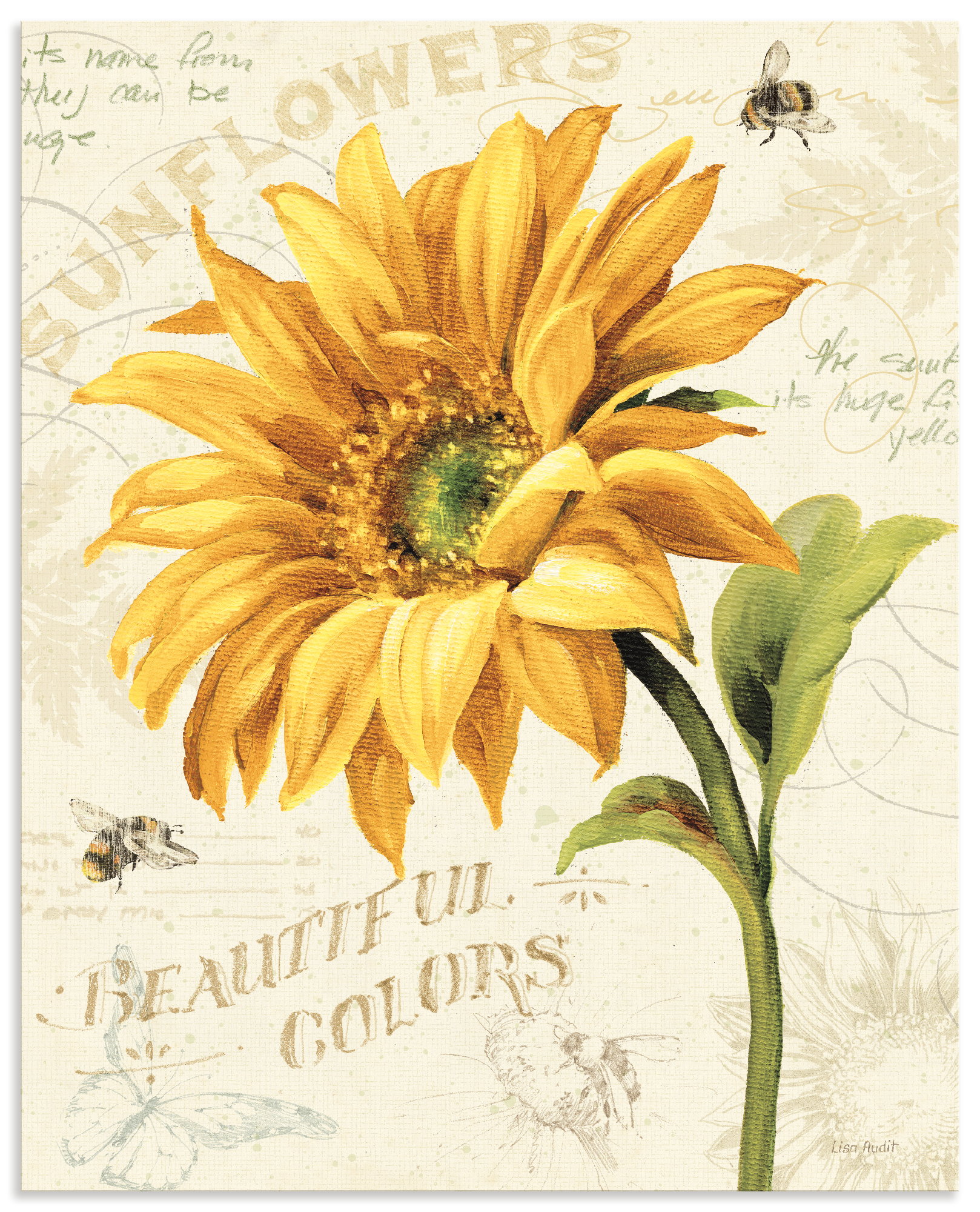 Artland Wandbild "Under the Sun II" Blumenbilder 1 Stk. tlg. als Alubild, Leinwandbild, Poster, Wandaufkleber in verschied. Größen