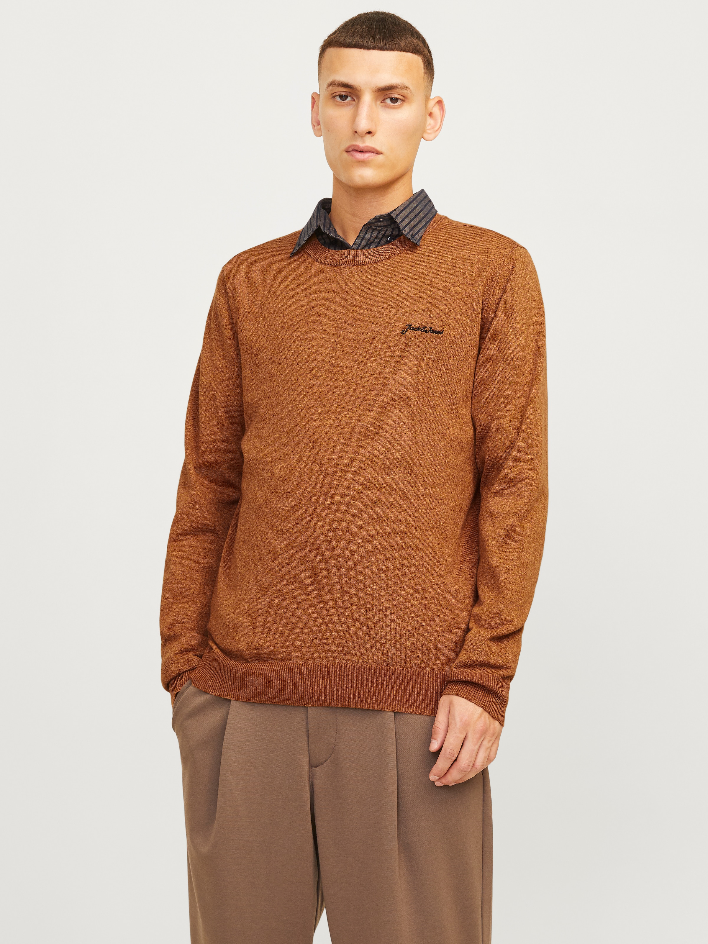 Jack & Jones Rundhalspullover "JJBRAD KNIT CREW NECK AW24"