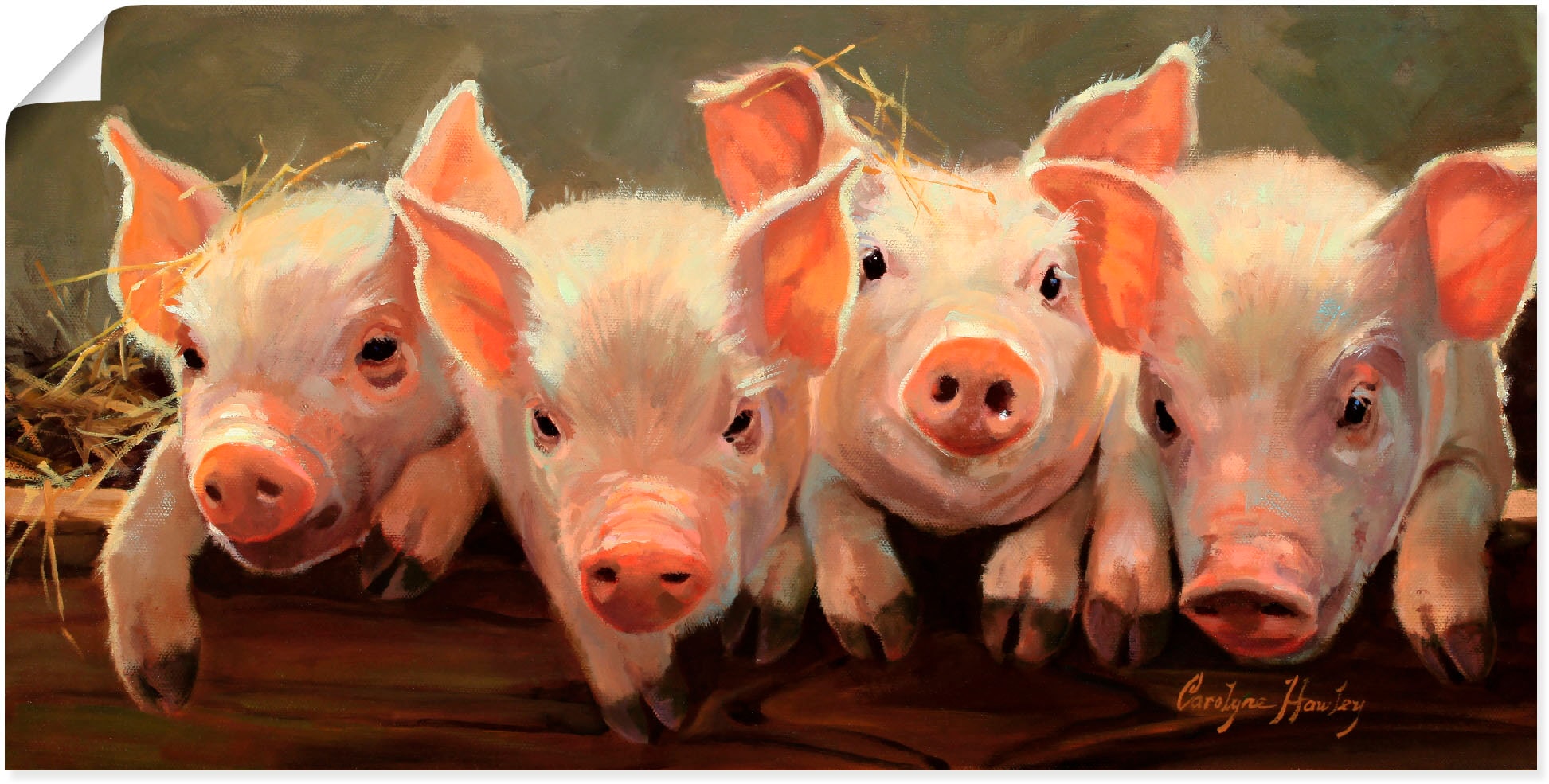 Artland Poster "Das große Grunzen" Haustiere 1 Stk. tlg. als Alubild, Outdo günstig online kaufen