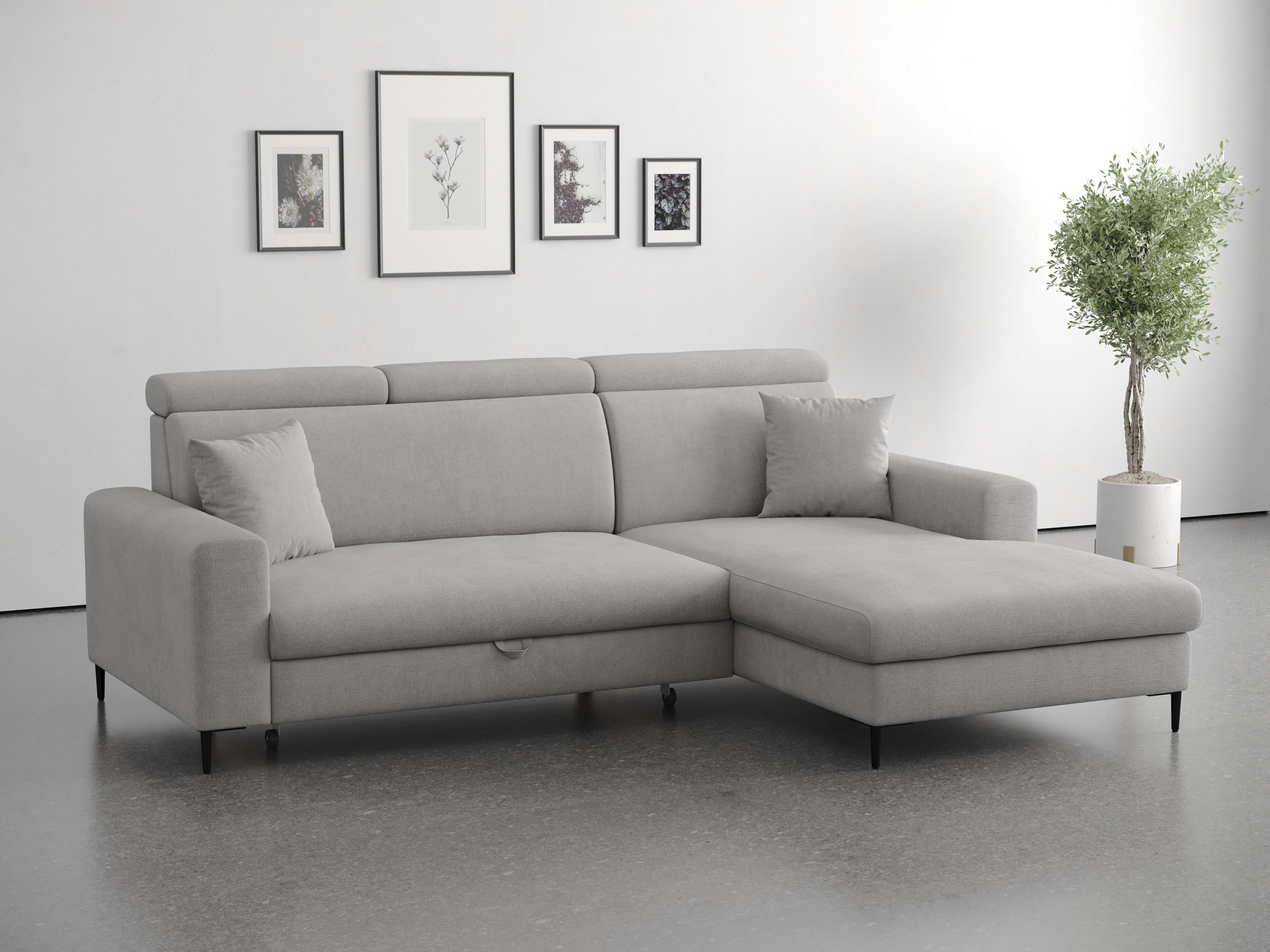Trends by HG Ecksofa "Nizza, L-Form, B: 250cm" mit Schlaffunktion und Bettkasten