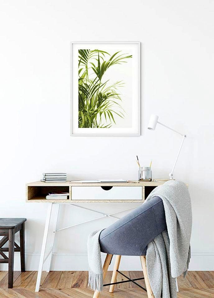 Komar Bild »Reed Leaves«, Pflanzen-Blätter, (1 St.), Wandbild zur Dekoration - ohne Rahmen