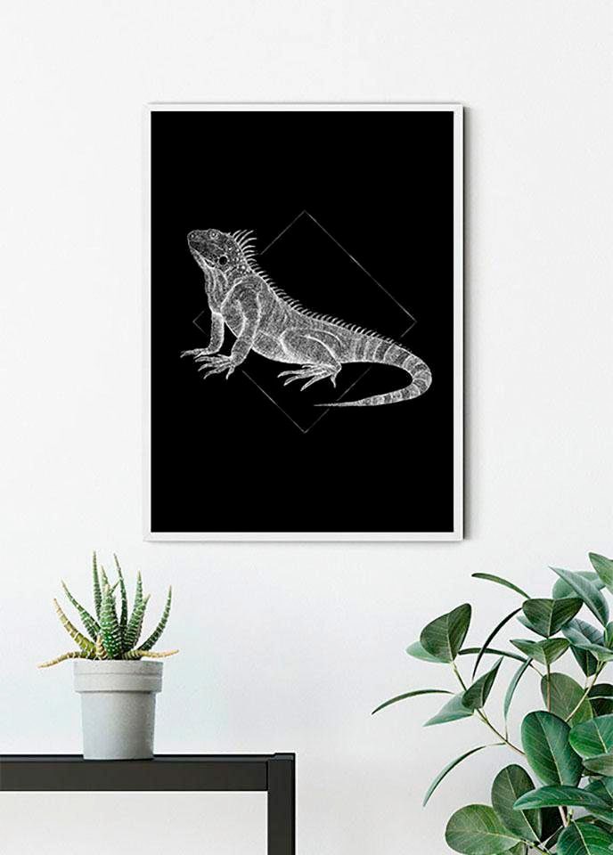 »Iguana Black«, | Wohnzimmer BAUR Komar Tiere, Schlafzimmer, Kinderzimmer, Poster