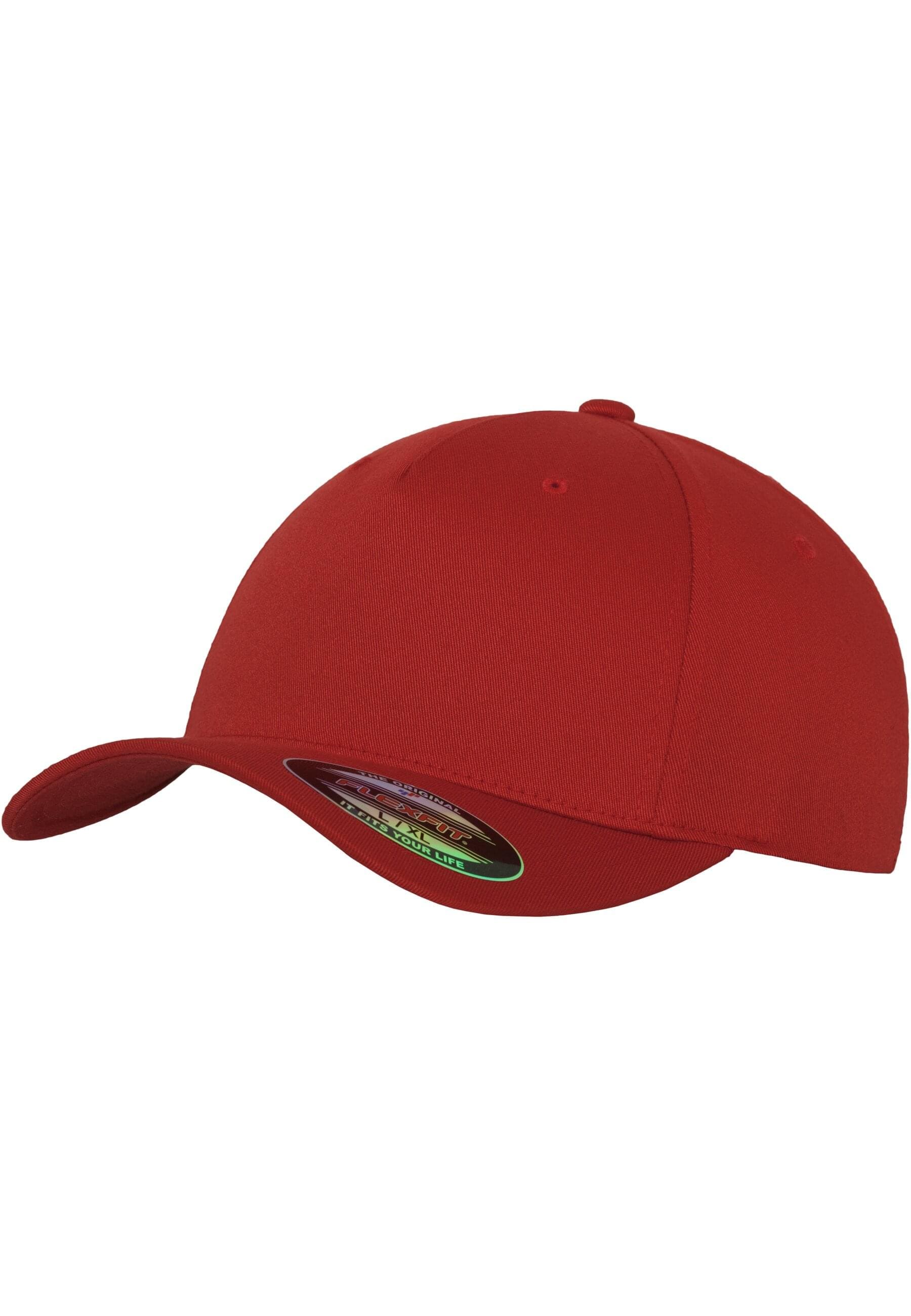 Flexfit Flex Cap »Flexfit Unisex Flexfit 5 Panel«