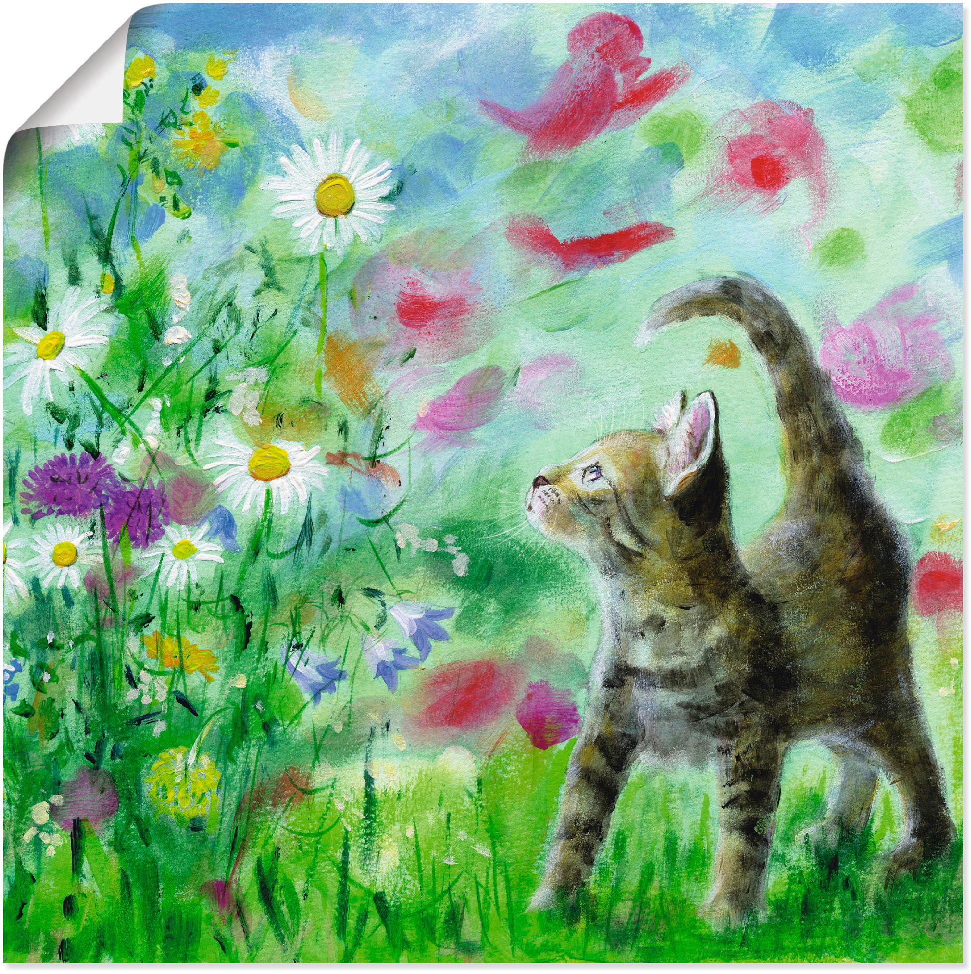 Artland Wandbild "Sommerwiese mit Kätzchen", Haustiere, (1 St.), als Leinwandbild, Poster, Wandaufkleber in verschied. G
