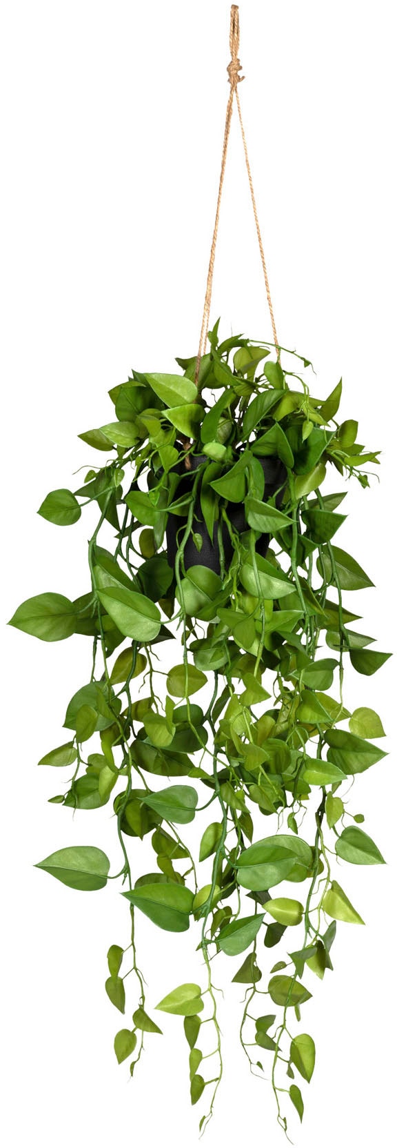 Creativ green Kunstranke im »Philodendronhänger«, BAUR bestellen Hängetopf 