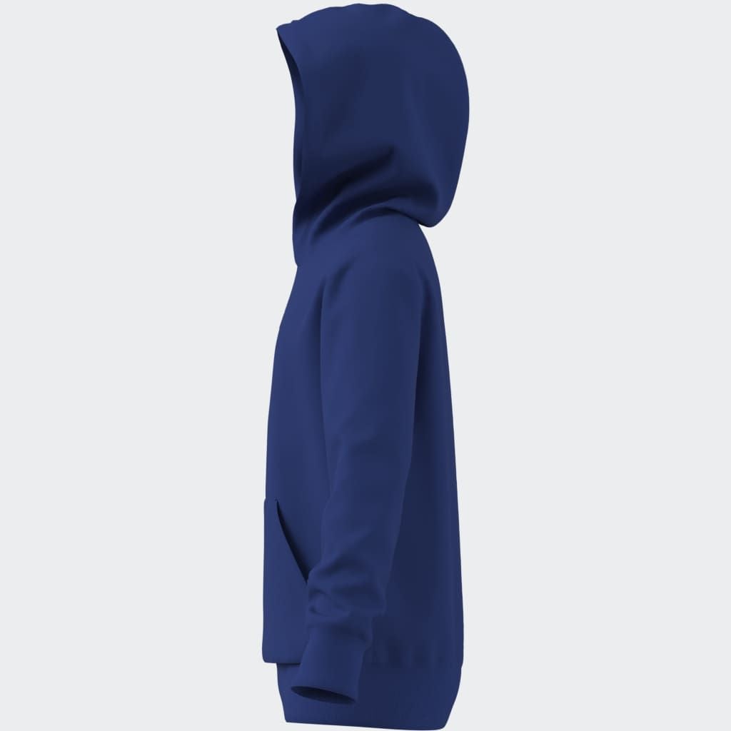 adidas Sportswear Kapuzensweatshirt »J SL FL HD 225«