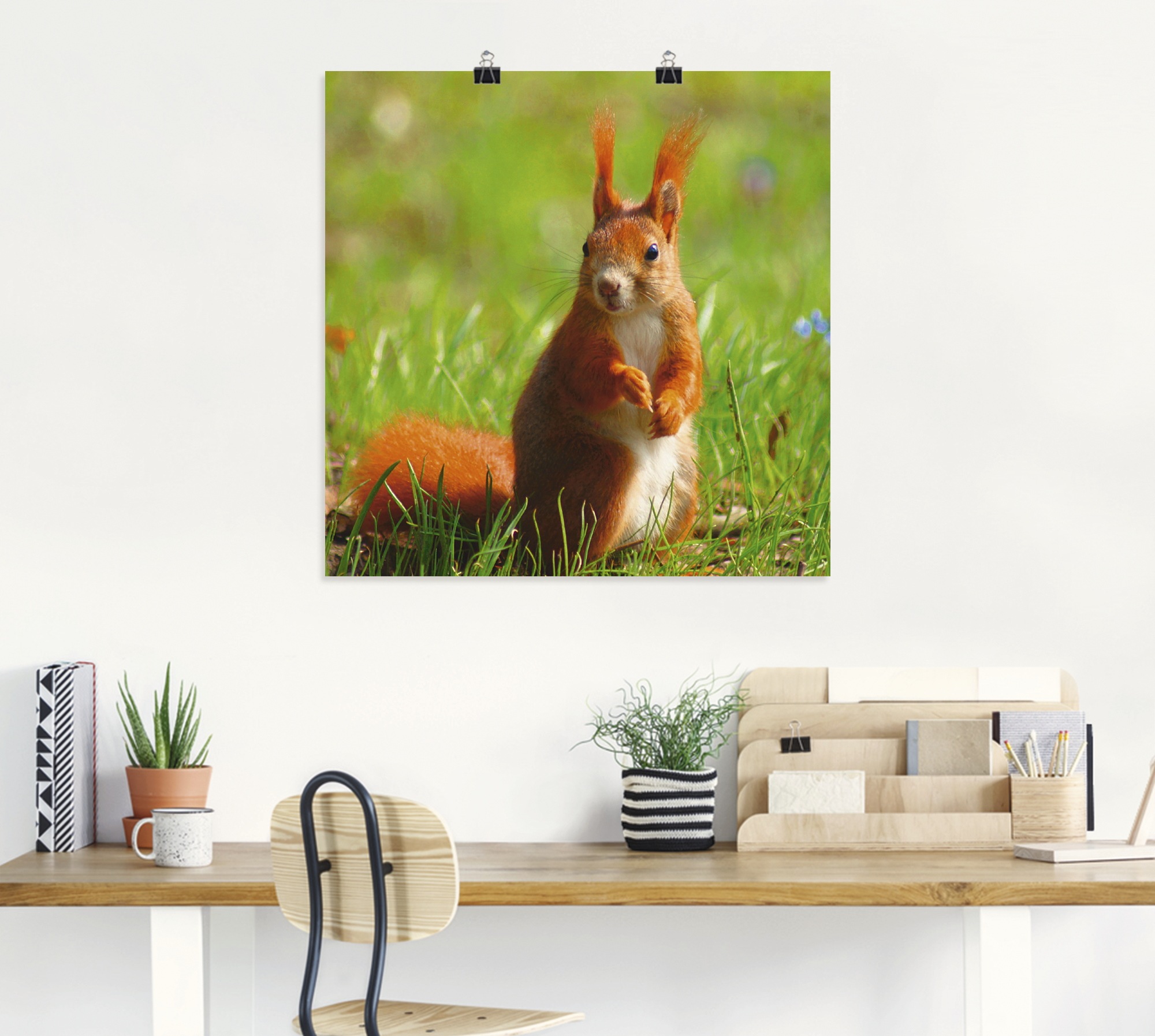 Artland Poster "Eichhörnchen Kontakt", Wildtiere, (1 St.), als Leinwandbild günstig online kaufen