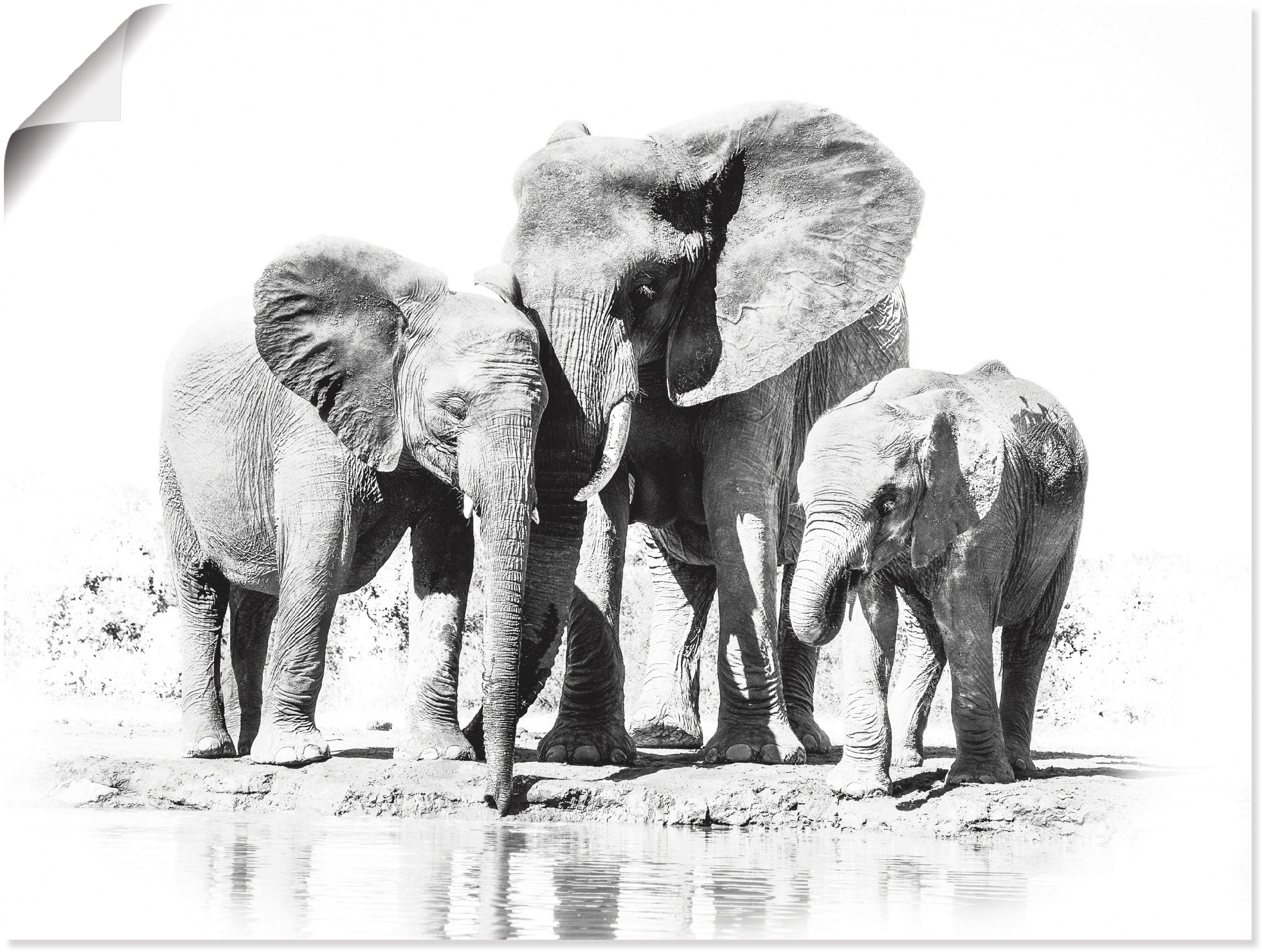 Artland Wandbild »Elefantenmutter mit Kindern«, Elefanten Bilder, (1 St.), als Alubild, Outdoorbild, Leinwandbild, Poster in verschied. Größen
