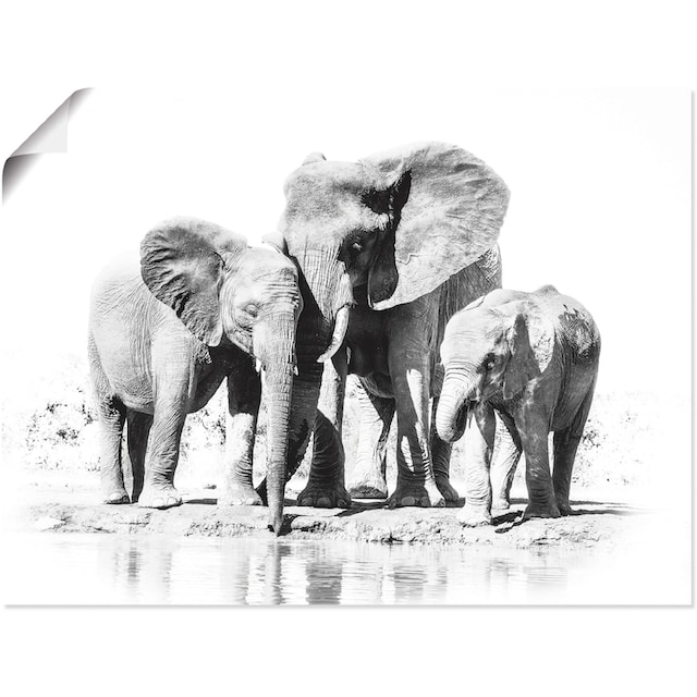 Artland Wandbild »Elefantenmutter mit Kindern«, Elefanten Bilder, (1 St.),  als Alubild, Leinwandbild, Wandaufkleber oder Poster in versch. Größen  kaufen | BAUR