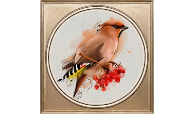 queence Acrylglasbild »Vogel« kaufen