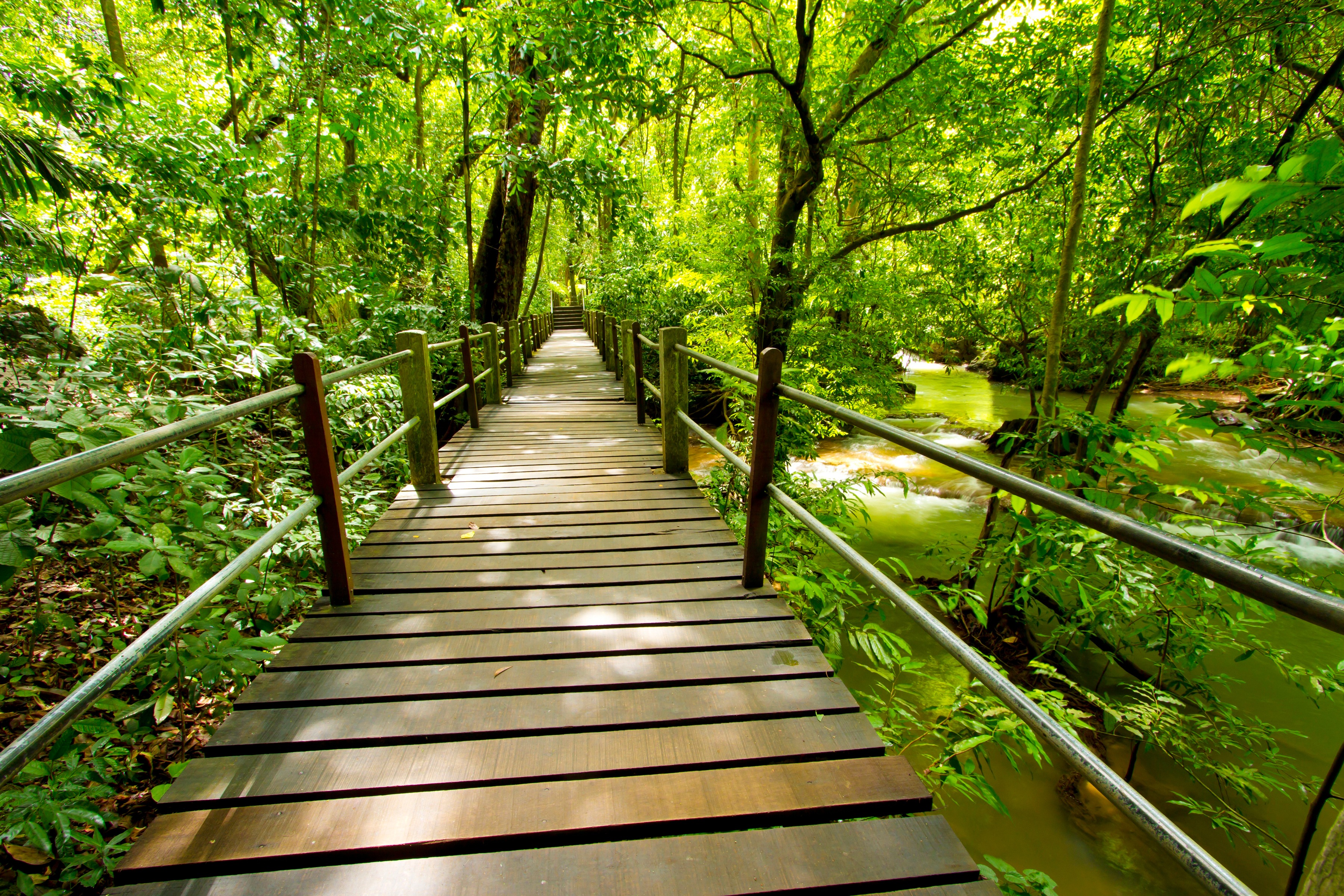 Papermoon Fototapete "Bridge Walk" glatt
