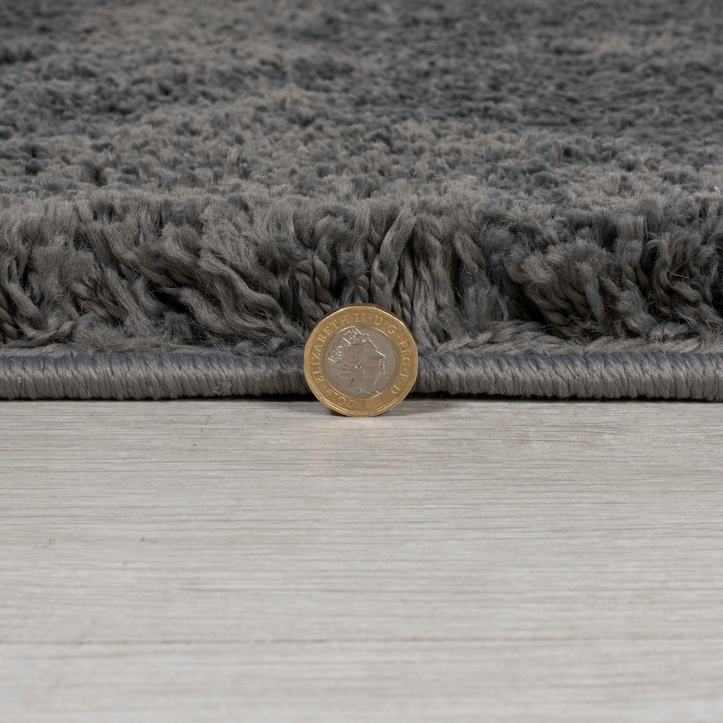 FLAIR RUGS Hochflor-Teppich »Feather«, rechteckig