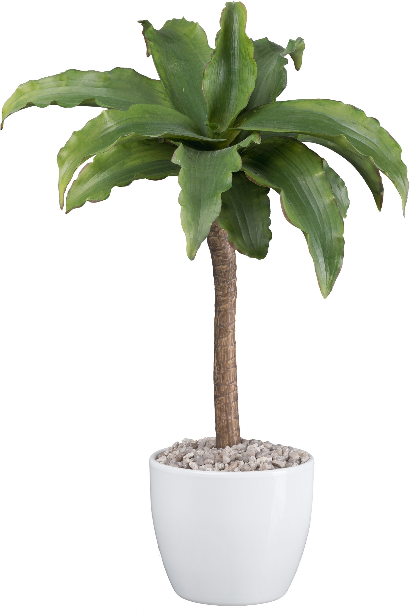 Creativ green Kunstpflanze »Agave Attenuata« su Kies...