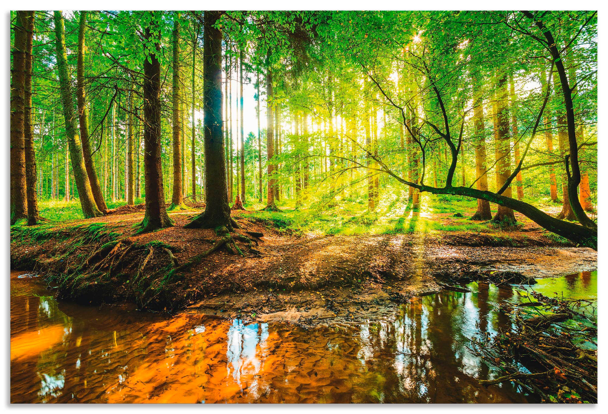 Artland Wandbild "Wald mit Bach" Wald 1 Stk. tlg. als Alubild, Outdoorbild, günstig online kaufen