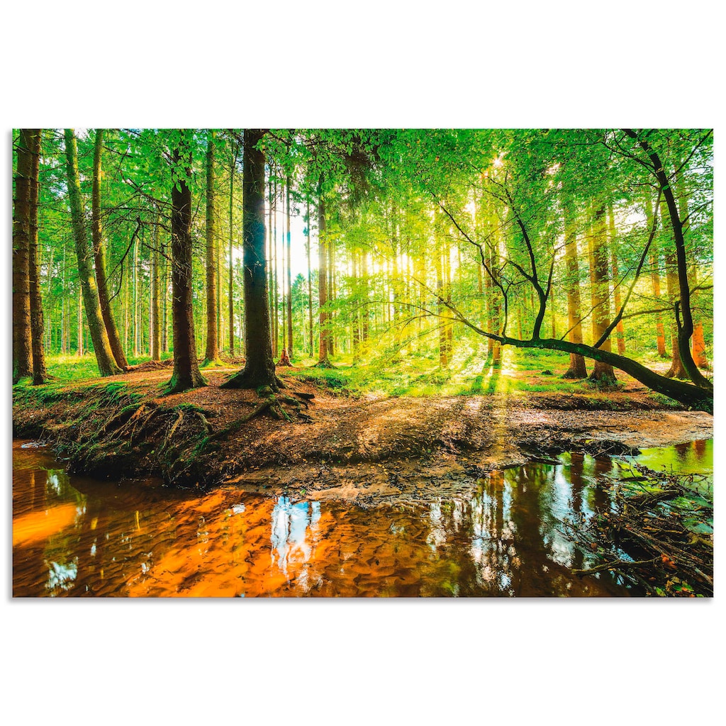 Artland Wandbild »Wald mit Bach«, Wald, (1 St.), als Alubild, Outdoorbild, Leinwandbild, Poster, Wandaufkleber