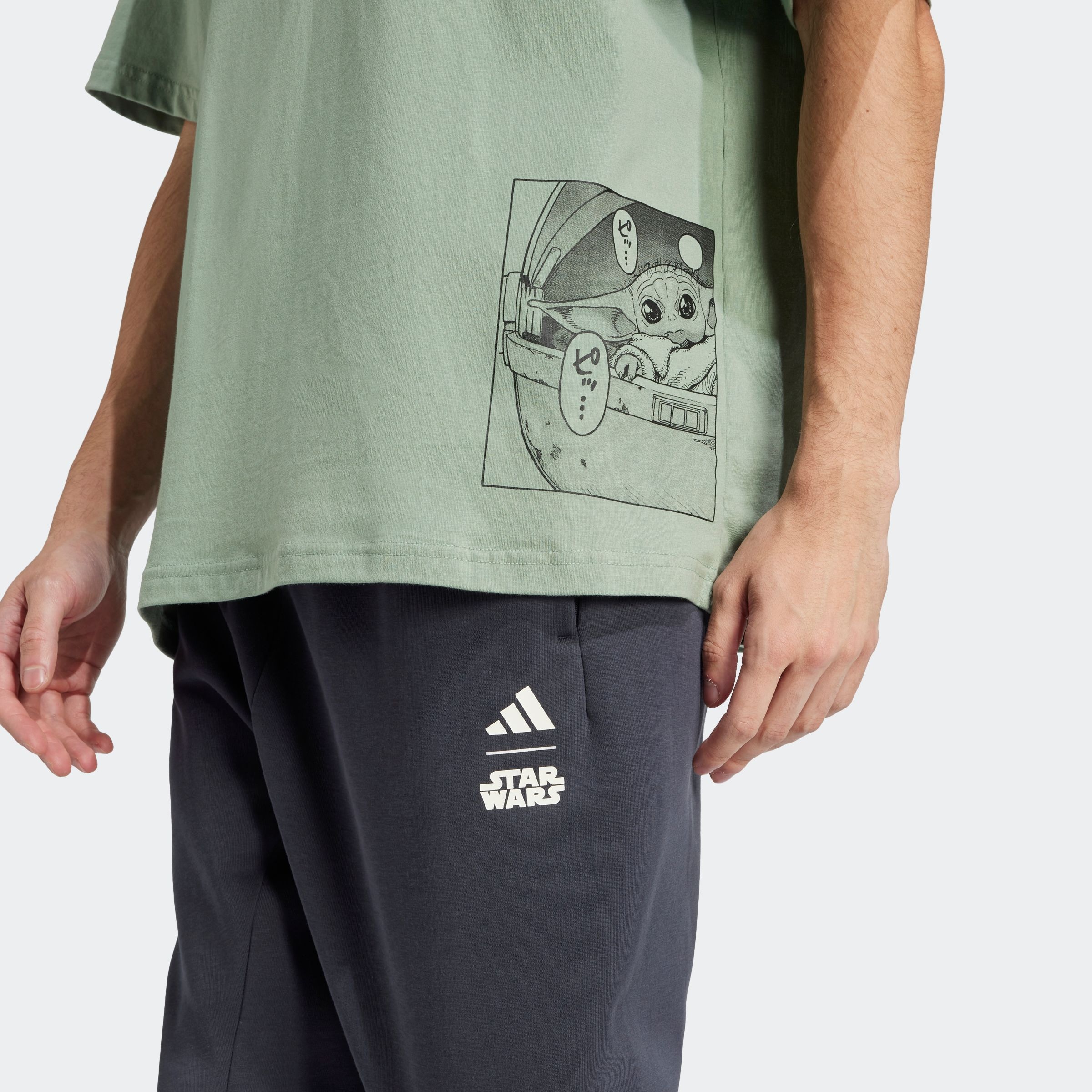 adidas Sportswear T-Shirt »M SW TM T 2«