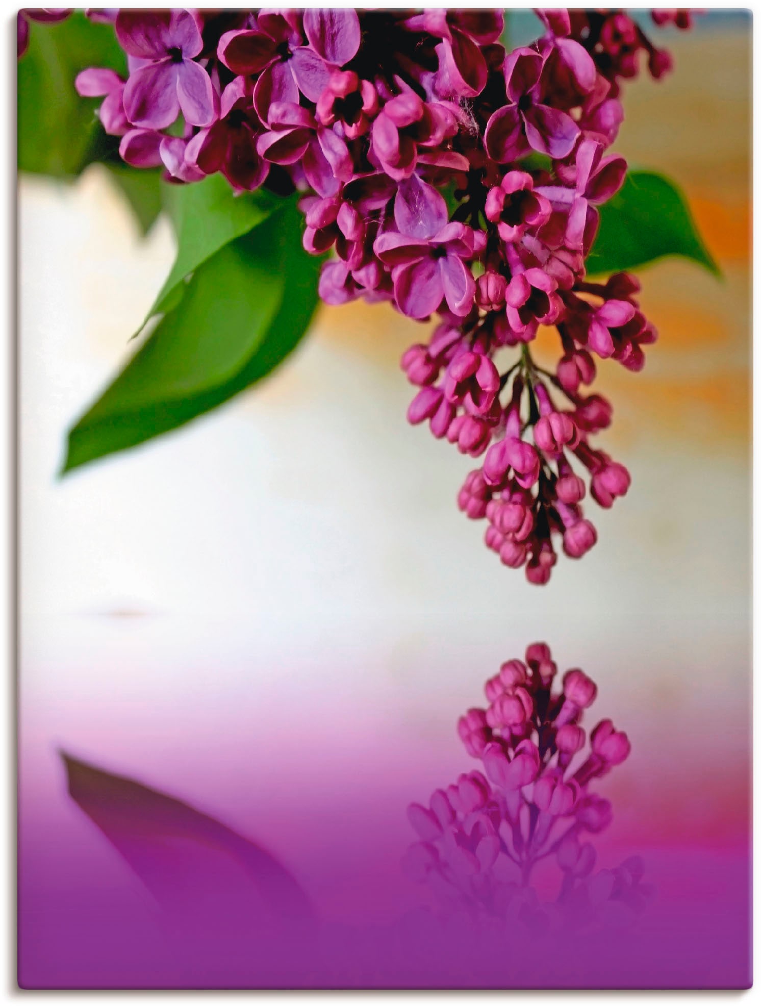 Artland Leinwandbild "Flieder", Blumen, (1 St.), auf Keilrahmen gespannt