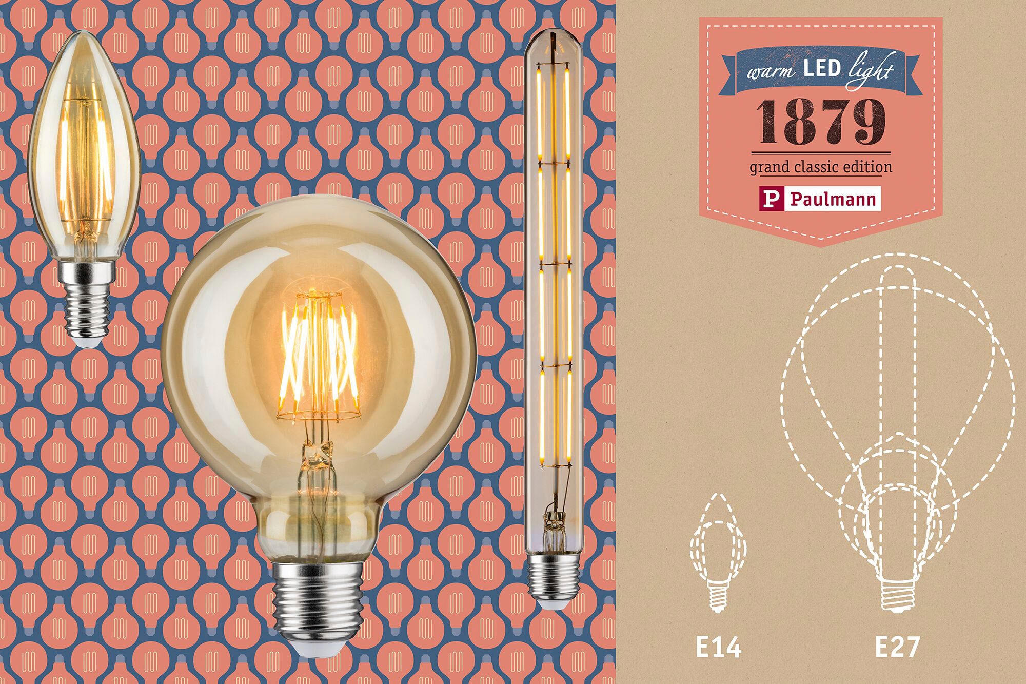 Paulmann LED-Leuchtmittel »E27 Goldlicht dimmbar Vintage | 6W 1 Vintage BAUR Extra-Warmweiß St., bestellen AGL AGL dimmbar 6W«