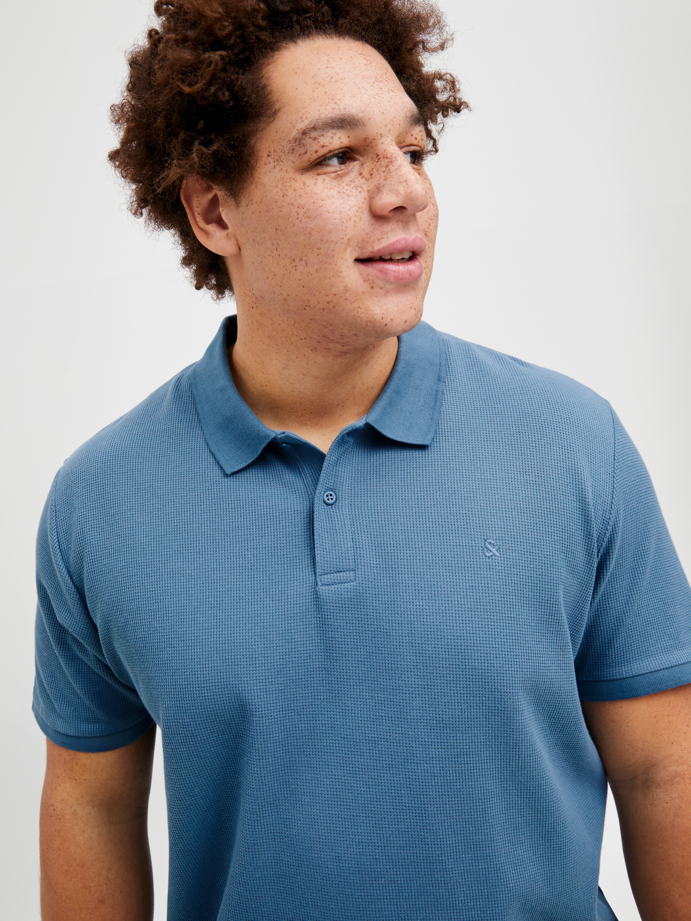 Jack & Jones PlusSize Poloshirt JJEAUSTIN günstig online kaufen