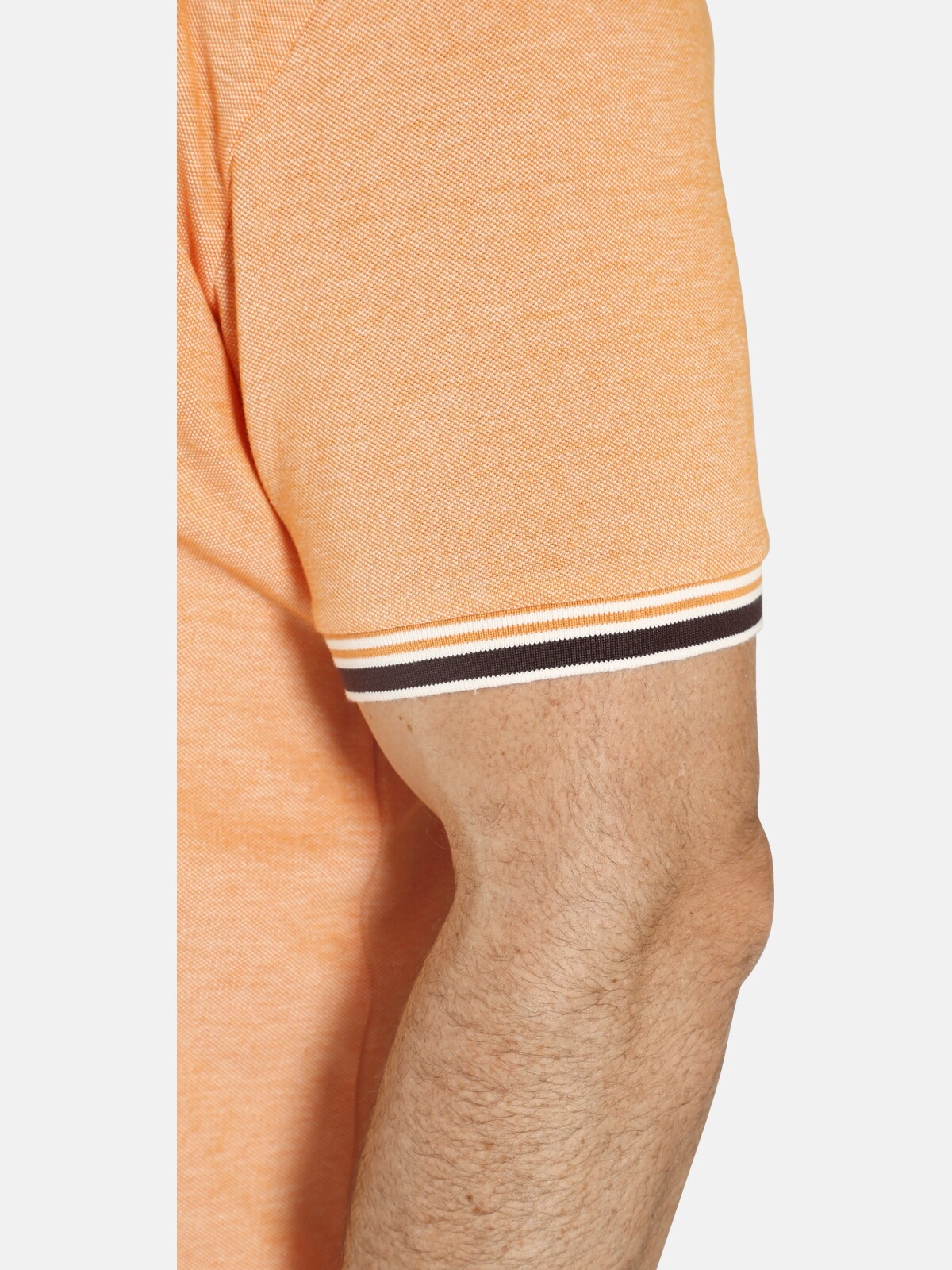 Charles Colby Poloshirt »Poloshirt EARL LANDON«