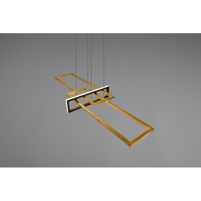 TRIO Leuchten LED Pendelleuchte »ALICA«, 1 flammig-flammig, mit Switch  Dimmer, über Wandschalter dimmbar, Abhängung 150 cm | BAUR