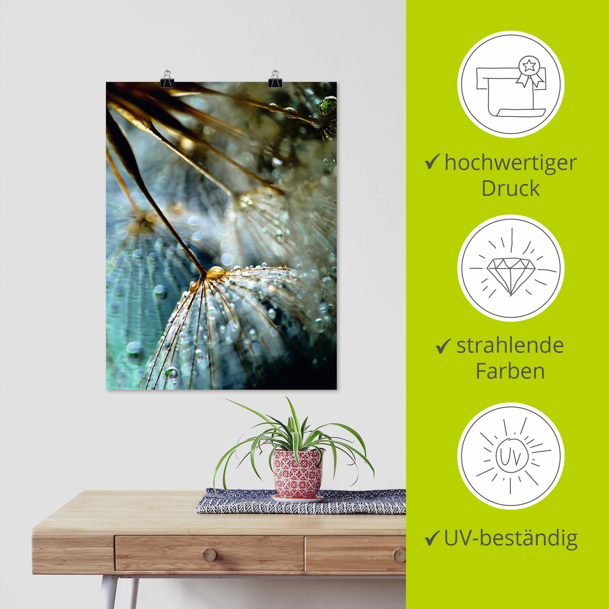 Artland Poster »Pusteblume Mystische Schönheit« Blumen 1 Stk. tlg. als Alubild, Outdoorbild, Leinwandbild, Poster, Wandaufkleber