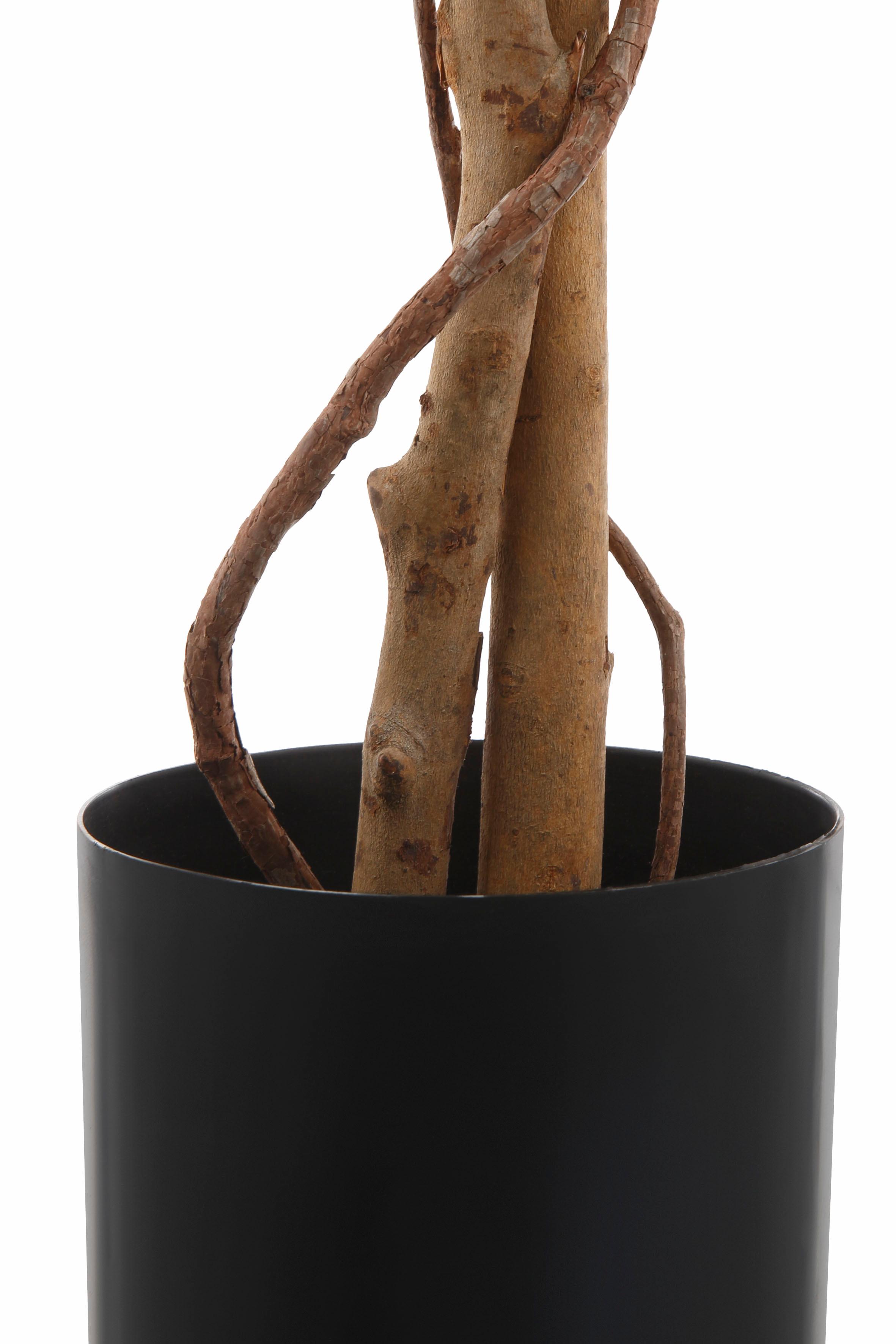 Thumbnail - Creativ green Kunstpflanze "Ficus Benjamini"