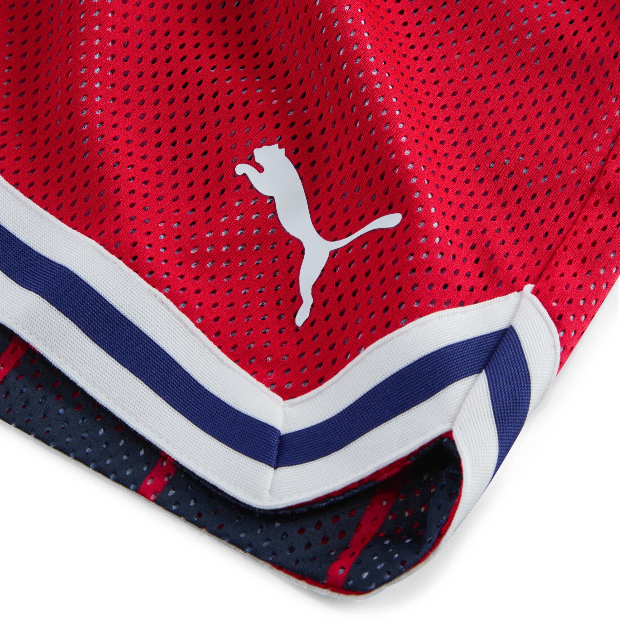 PUMA Shorts »PUMA HOOPS x FC Red Bull Salzburg Shorts Herren«