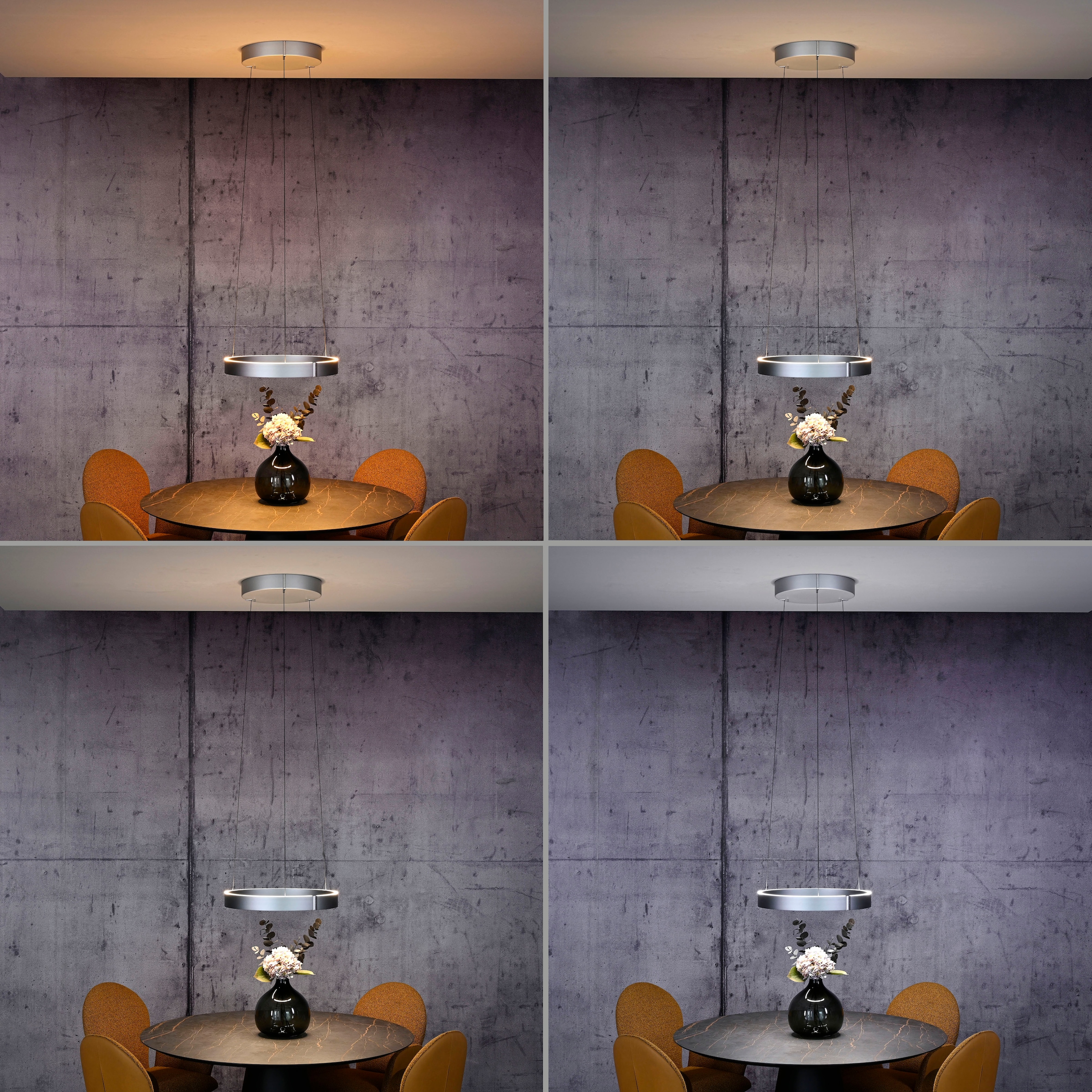 Neuhaus PURE LED Pendelleuchte »PURE E-Clipse« LED-Board 1 Stk. warmweiß - kaltweiß e-LIFT®-Funktion, CCT, dimmbar über Fernbedíenung