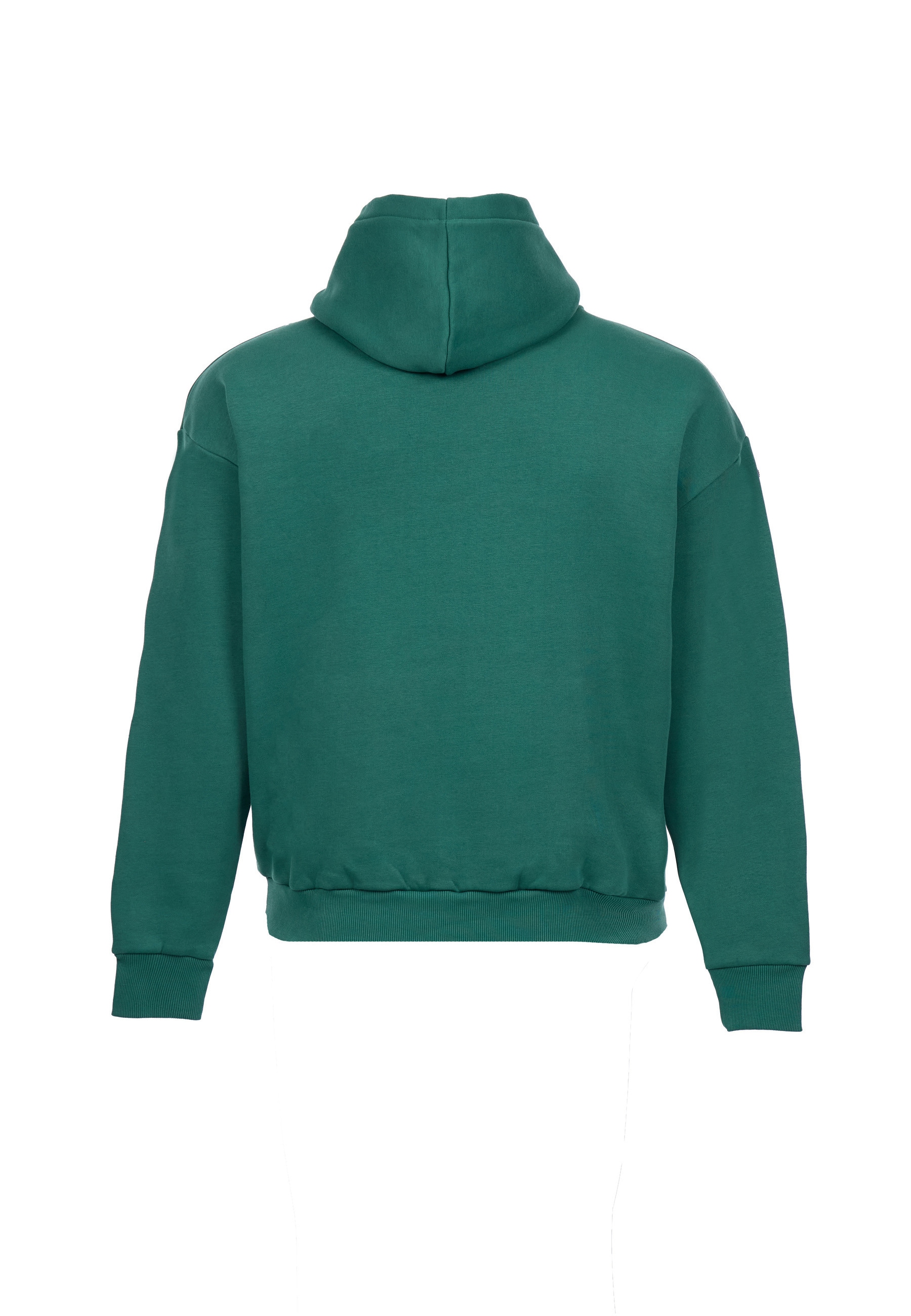 Dropsize Kapuzenpullover »Dropsize HEAVY OVERSIZE SCRIPT LOGO HOODIE« 1 Stk.