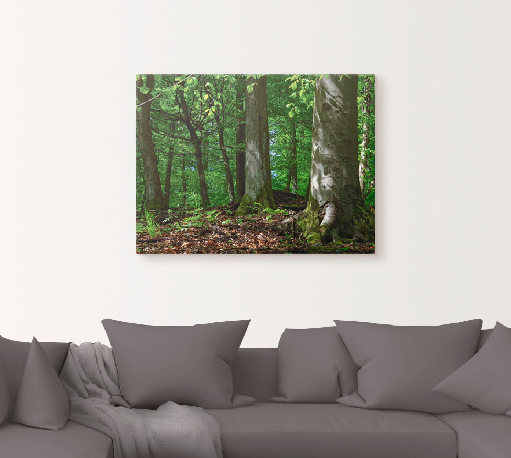 Artland Leinwandbild »Frühling im Buchenwald«, Wald, (1 St.), auf Keilrahmen gespannt