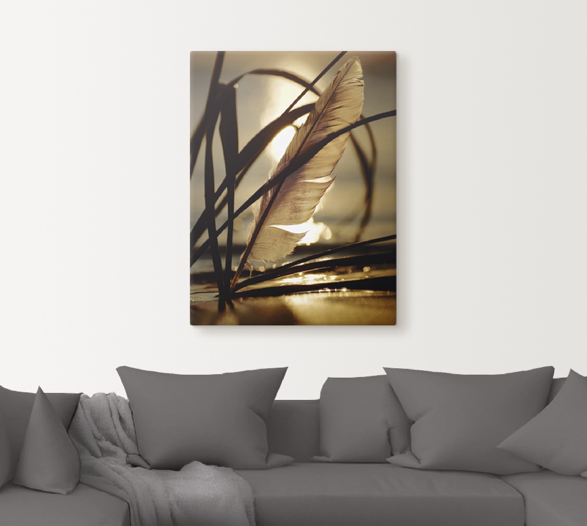 Artland Wandbild »Feder im Abendlicht«, Gräser, (1 St.), als Leinwandbild, Poster, Wandaufkleber in verschied. Größen
