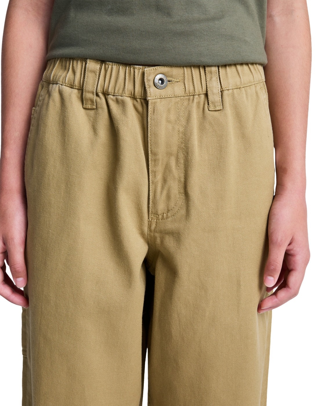 Element Cargohose »Big Carpenter Twill«