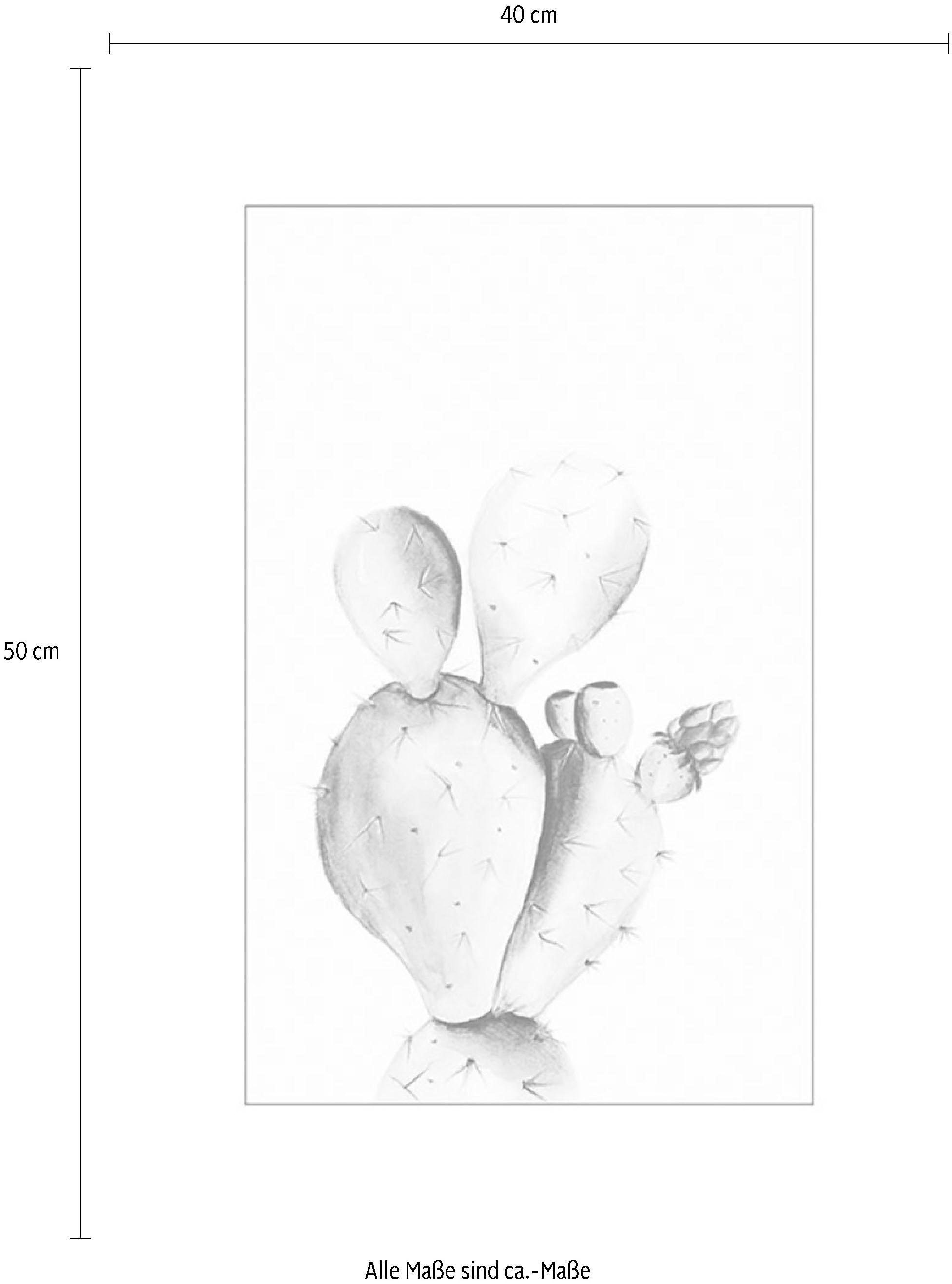 Komar Bild »Prickly Pear Watercolor«, Pflanzen-Blätter, (1 St.), Wandbild zur Dekoration - ohne Rahmen