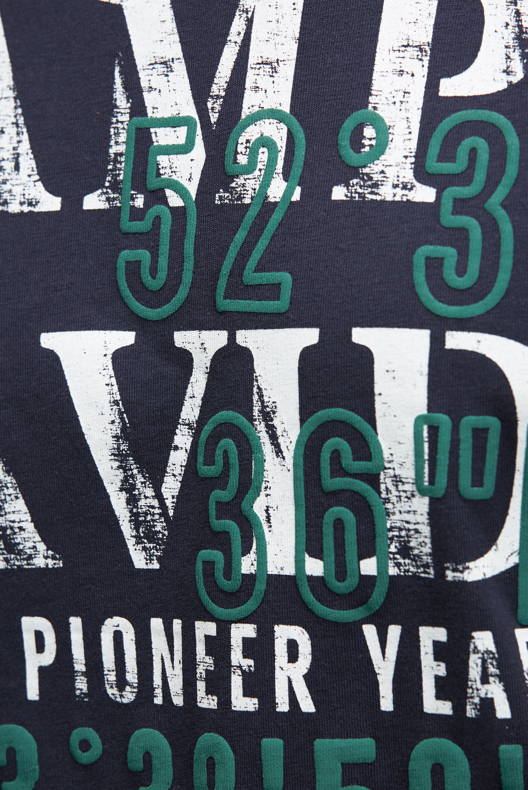 CAMP DAVID Rundhalsshirt, aus Baumwolle